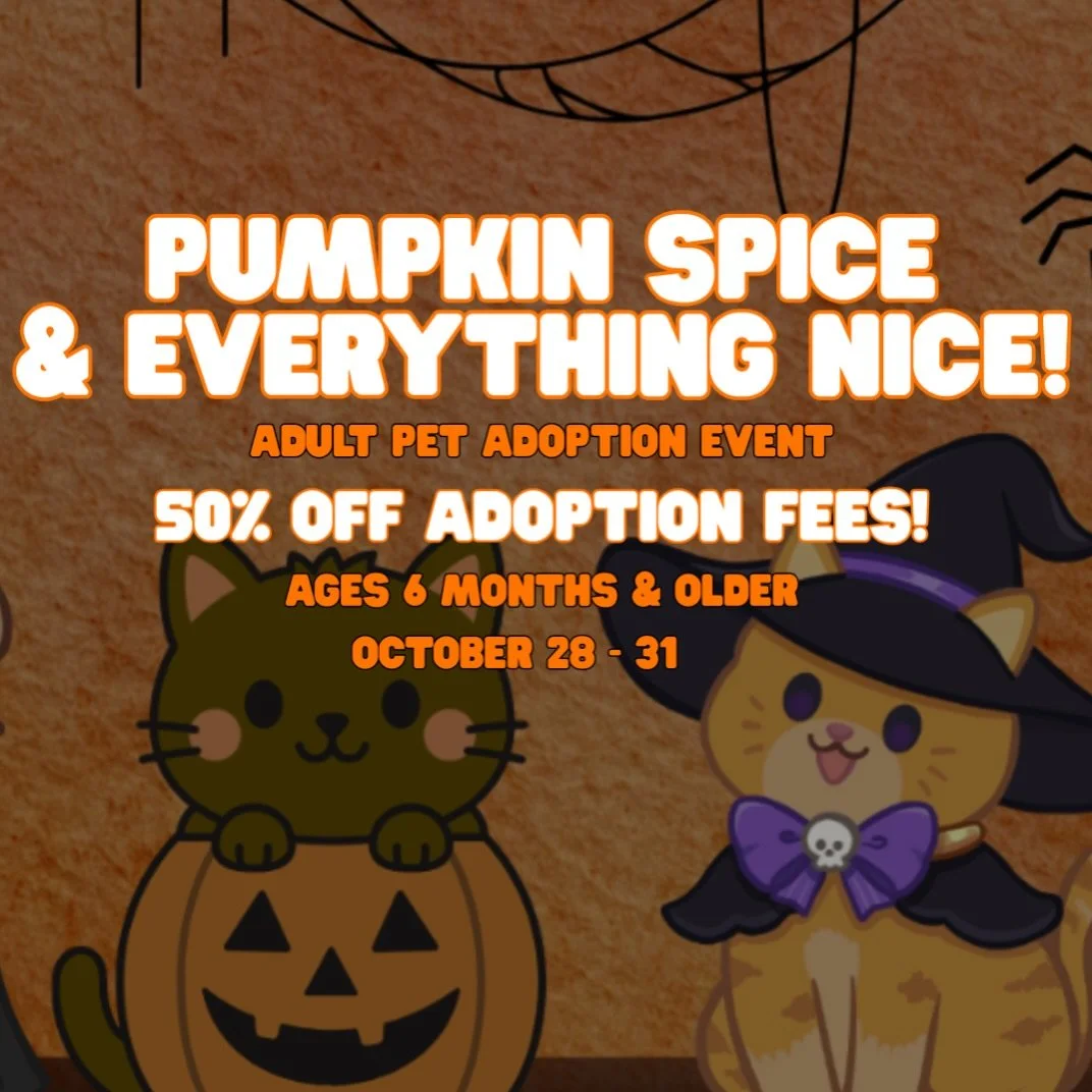 🎃 Pumpkin Spice &amp; Everything Nice!

We're celebrating Halloween with a little something special for our adult shelter pets!

From October 28&ndash;31, all adoptable dogs and cats ages 6 months and older will have 50% off their adoption fees at t
