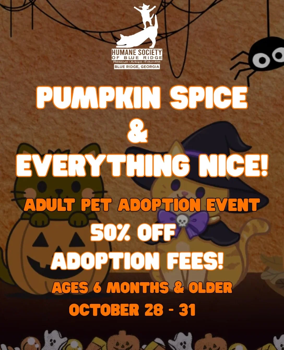 Our Halloween adoption special starts TODAY! 🎃 

From October 28 - 31, we're celebrating spooky season with 50% OFF adoption fees for all dogs and cats ages 6 months and older!

We've got some wonderful animals waiting to meet you, and we'd love not