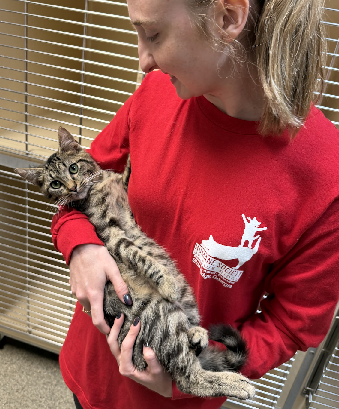 Screenshot 2026-04-15 at 5.30.24 PM.png