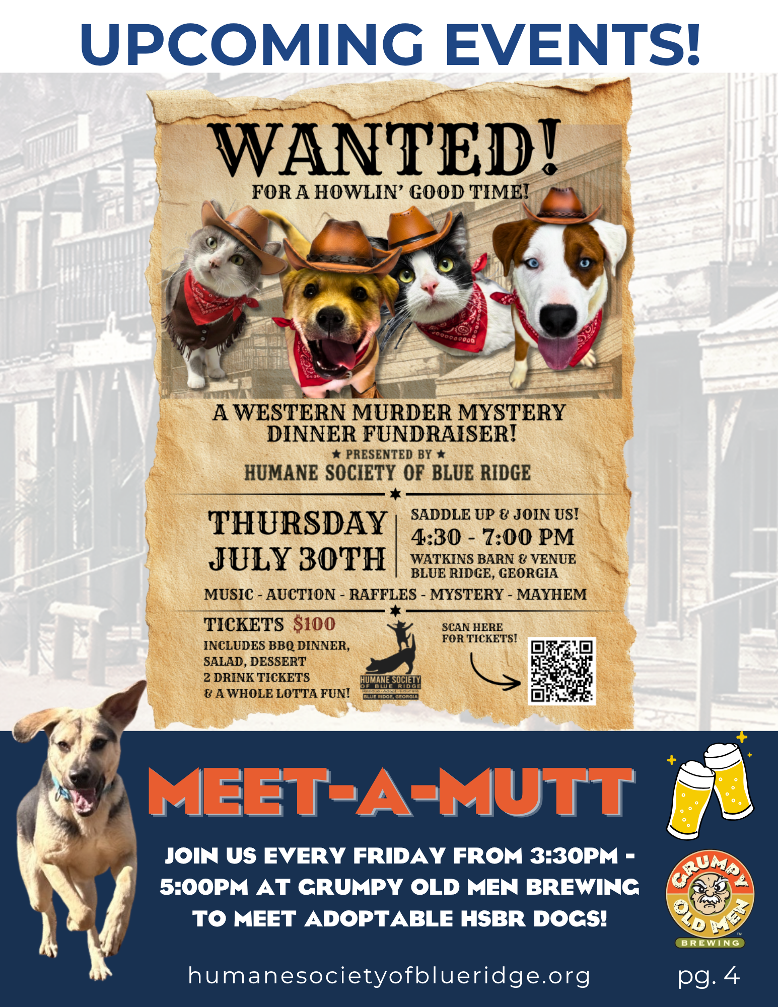 A promotional poster for a Western-themed murder mystery dinner fundraiser featuring four dogs wearing cowboy hats and bandanas. The event is presented by Humane Society of Blue Ridge, scheduled for Thursday, July 30th, from 4:30 to 7:00 pm at Watkins Barn & Venue in Blue Ridge, Georgia. The fundraiser includes music, auction, raffles, mystery, and mayhem, with tickets costing $100. The poster also advertises a monthly meet-a-mutt event every Friday from 3:30 pm to 5:00 pm at Crumpy Old Men Brewing, aimed at meeting adoptable dogs.