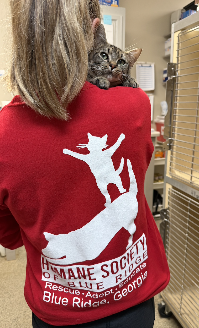 Screenshot 2026-04-15 at 5.30.38 PM.png