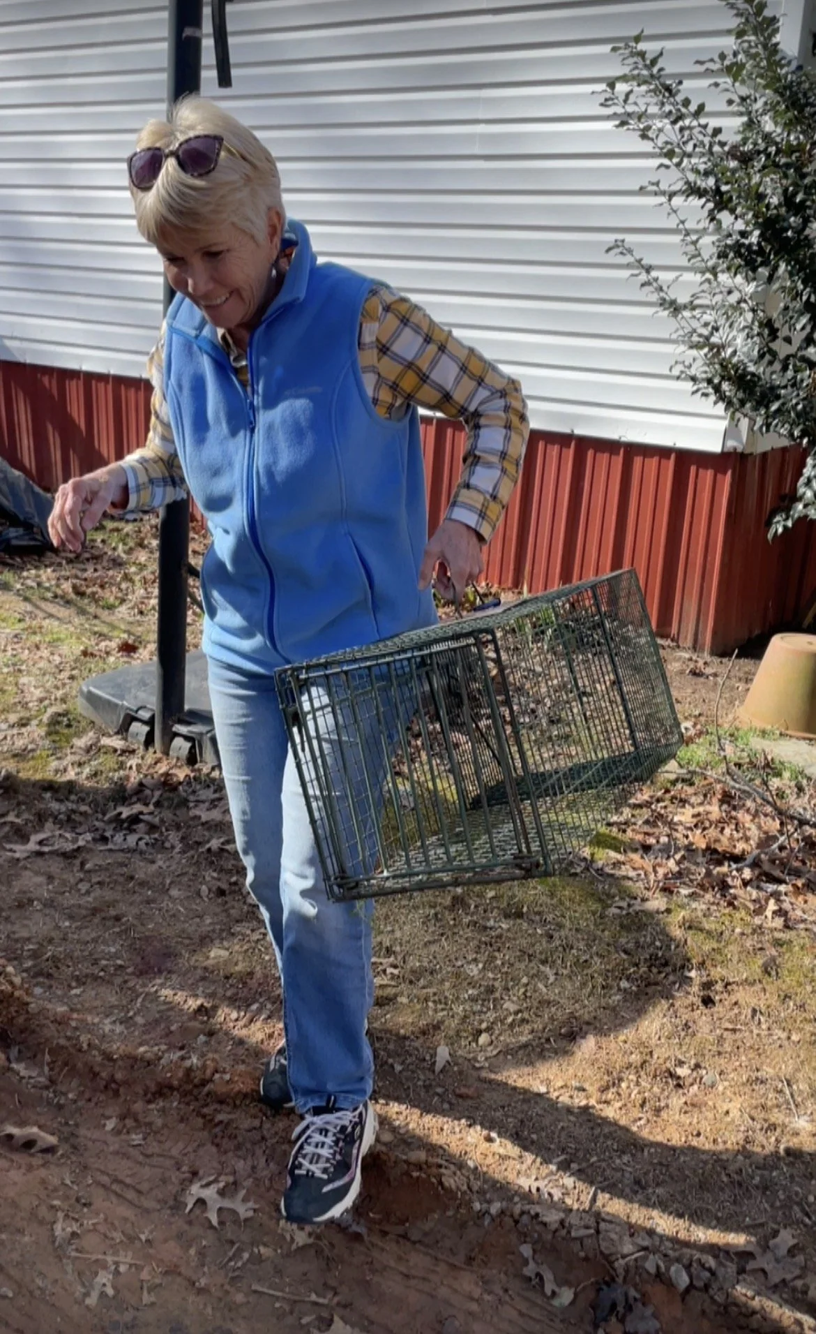 An elderly woman in a blue vest and casual clothing is carrying a metal animal trap outdoors on dirt ground near a house with a white and red exterior.