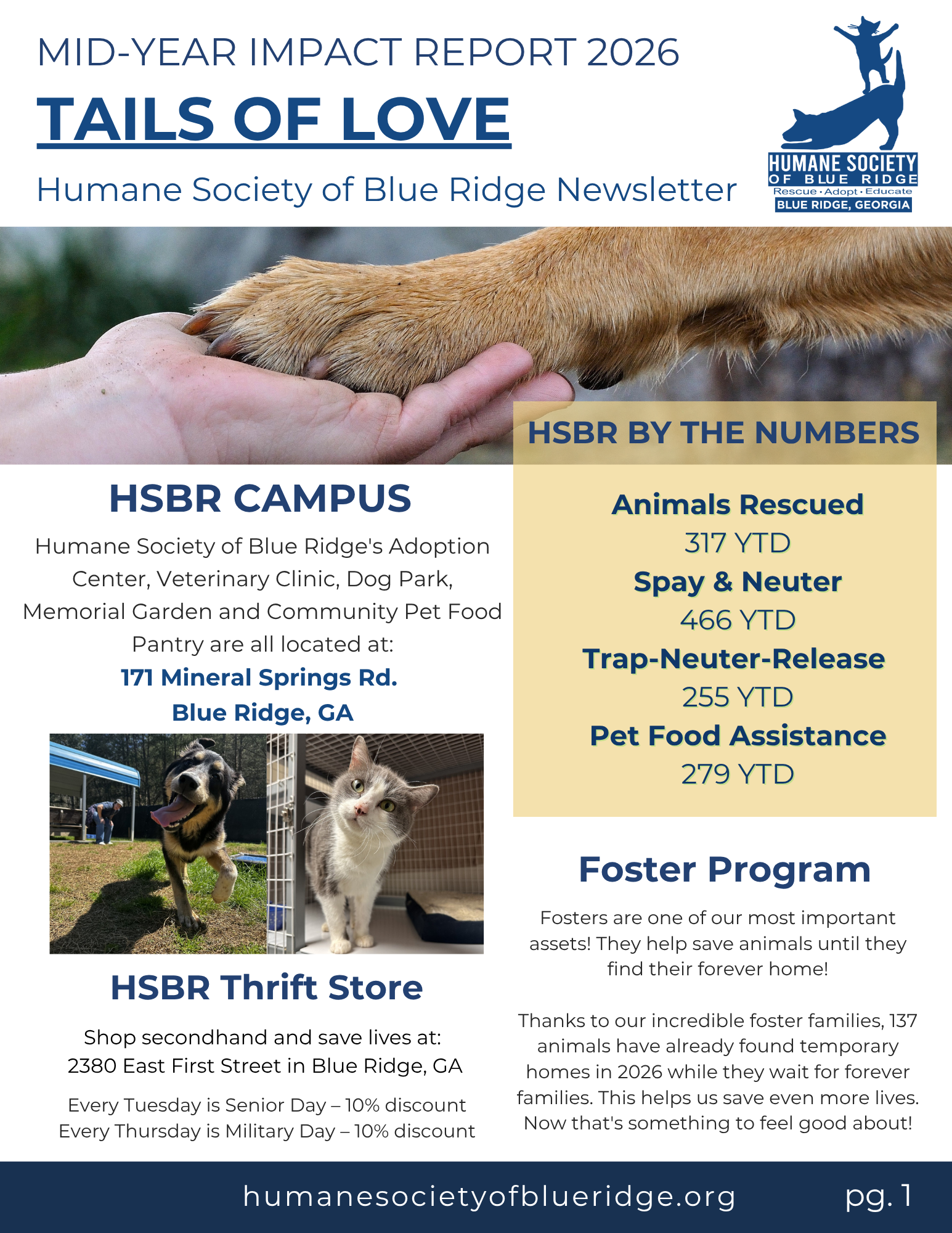 A newsletter cover for the Humane Society of Blue Ridge titled "Tails of Love," featuring an image of a person holding the paw of a dog with a hand and the dog’s brown paw visible. The newsletter includes sections on animals rescued, foster programs, and thrift store information, with a blue and beige color scheme and the organization's logo in the top right corner.