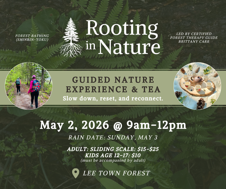 May Guided Forest Bathing Experience &amp; Tea