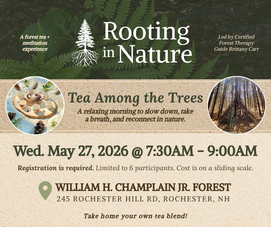 Tea Among the Trees: 5/27/26