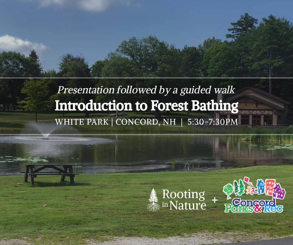 Intro to Forest Bathing: Presentation &amp; Walk at White Park | Concord, NH
