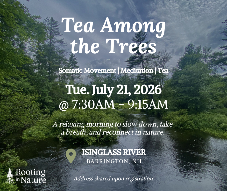 Tea Among the Trees: Riverside Movement, Meditation, & Tea