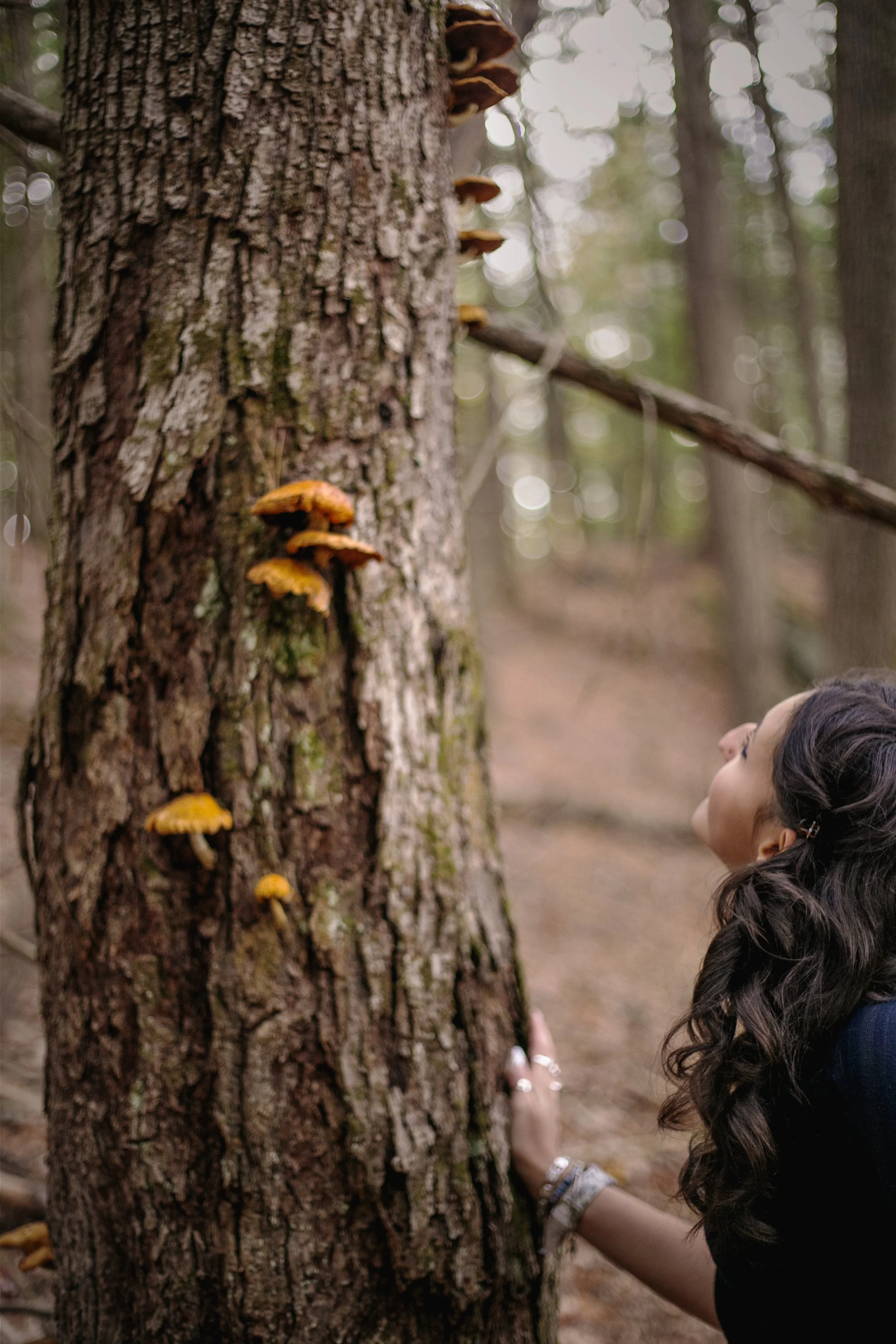 A woman with long dark hair and silver jewelry looking up at a tree trunk with orange mushrooms growing on it in a forest.