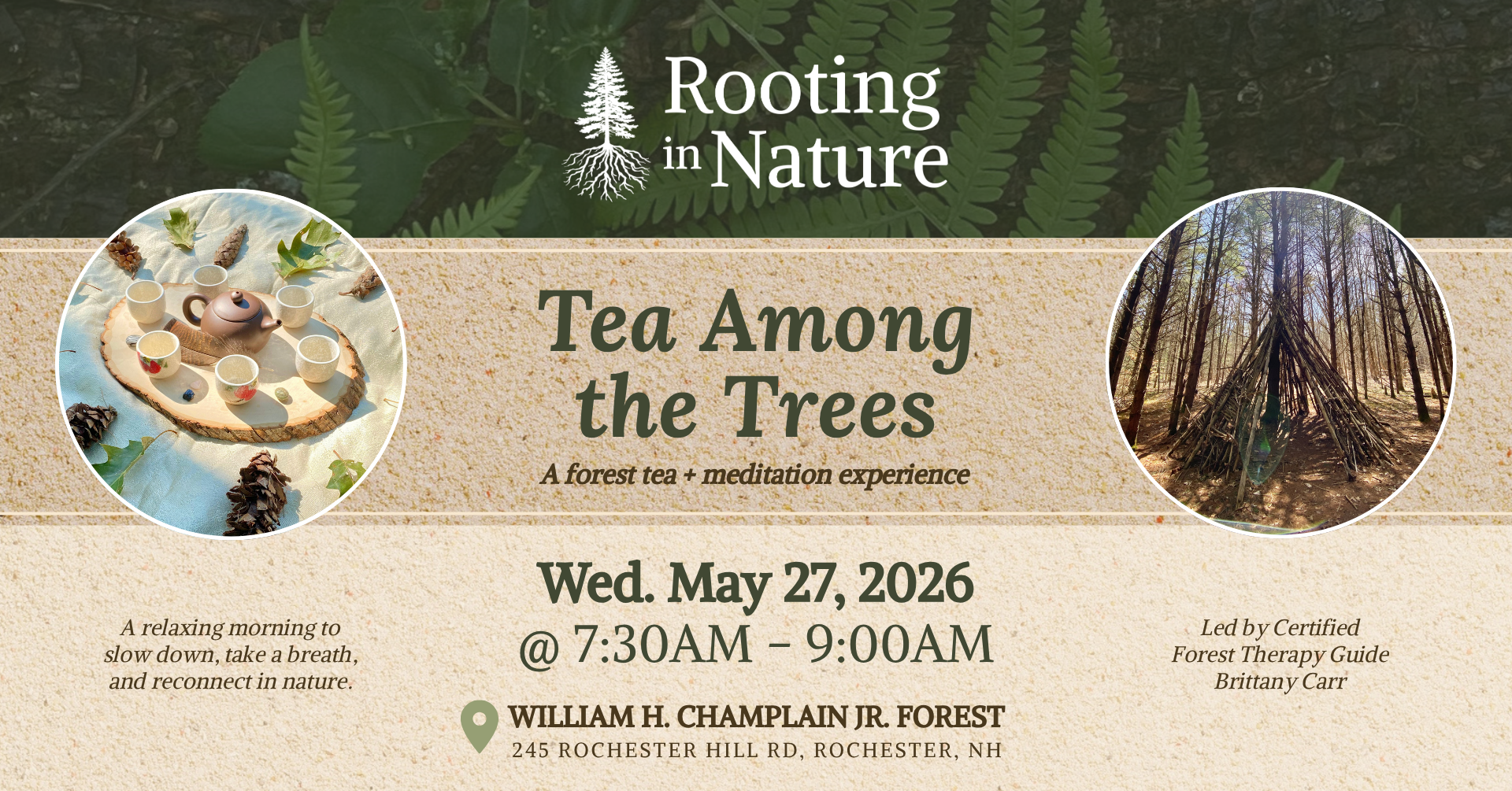 Tea Among the Trees by Rooting in Nature - May 27 forest tea and meditation