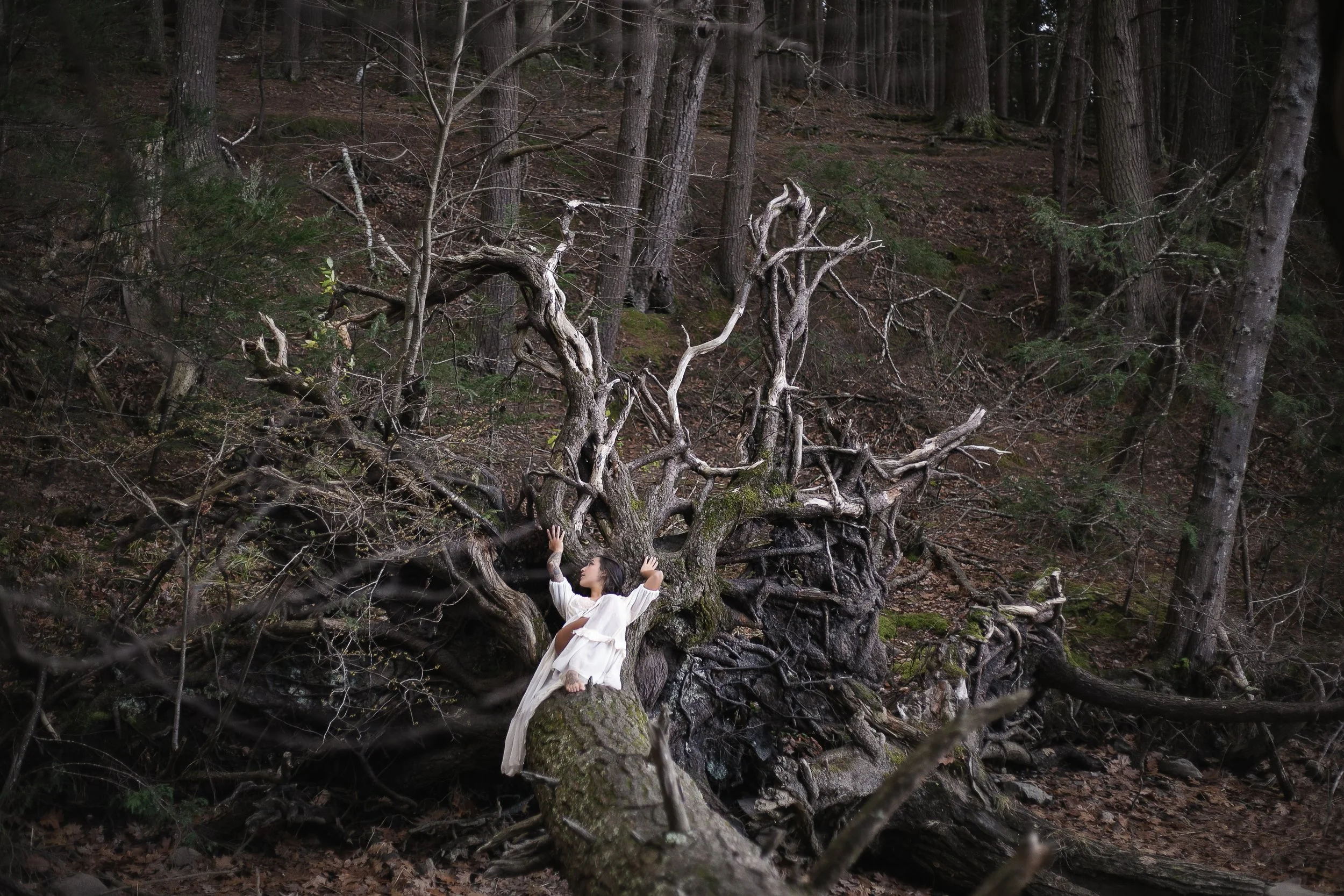 A person dressed in white clothes sitting on a moss-covered fallen tree in a forest surrounded by leafless trees and tangled roots.