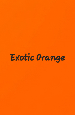 1000018948.png
