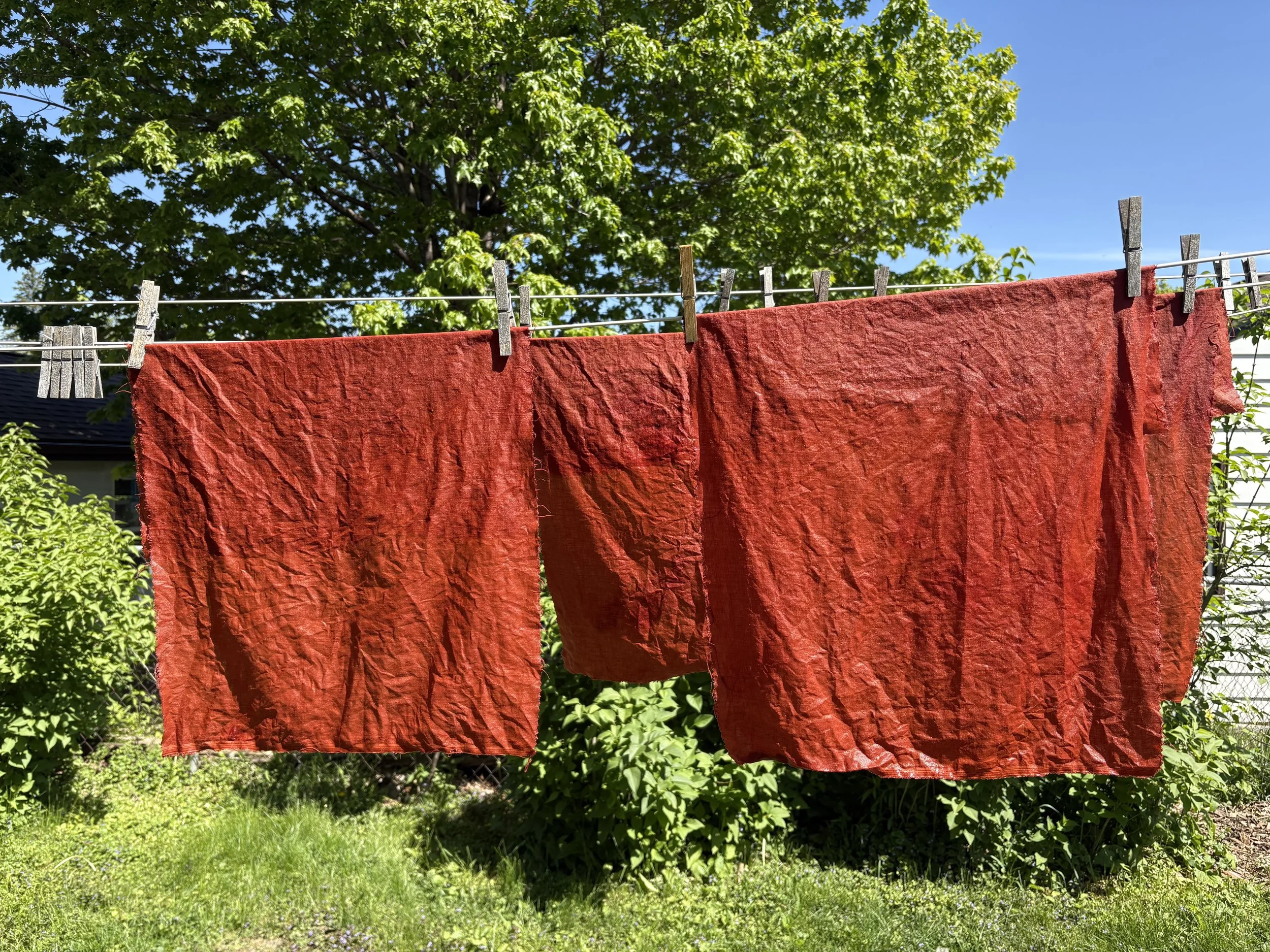 Natural Dyeing