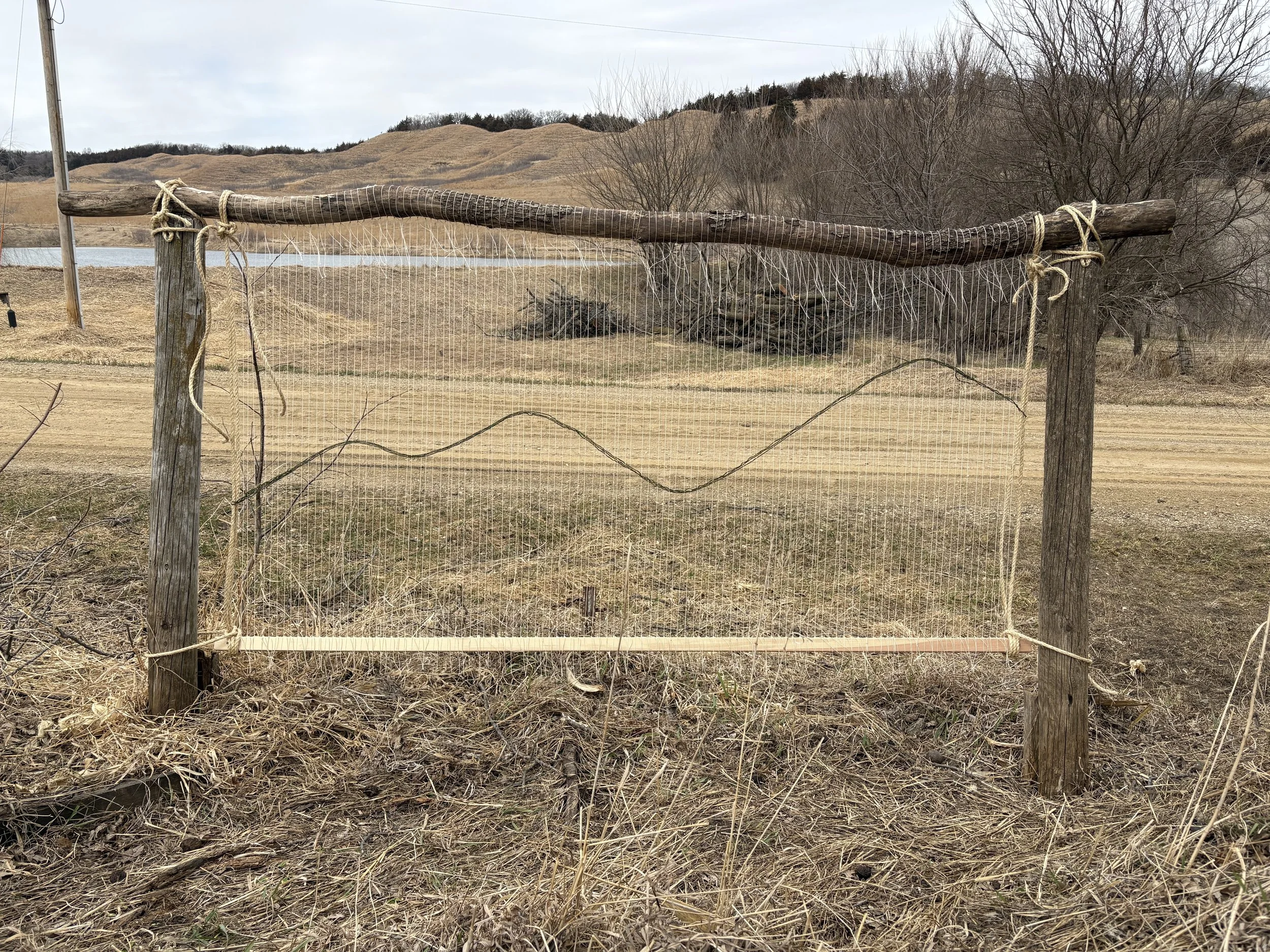 "Wild Loom" collaborative art installation (Before weaving) 7' x 5'