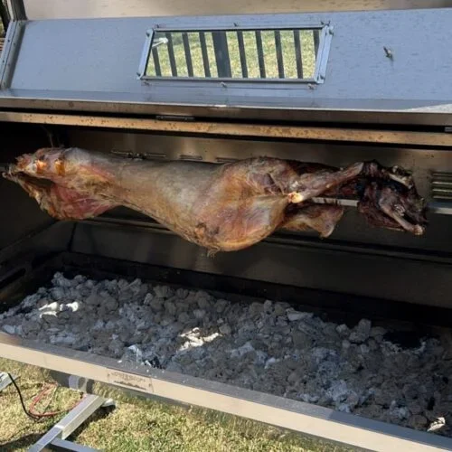 Screenshot_20230416_145109_Instagram-1-500x500.jpg.webp (Copy)