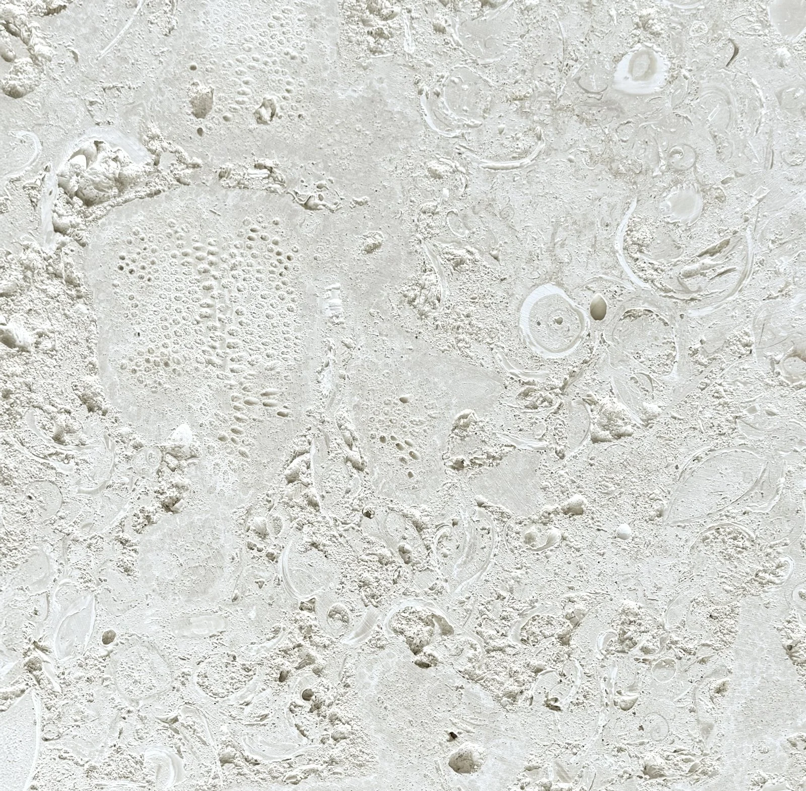 Coral Tile 12x24x3/4