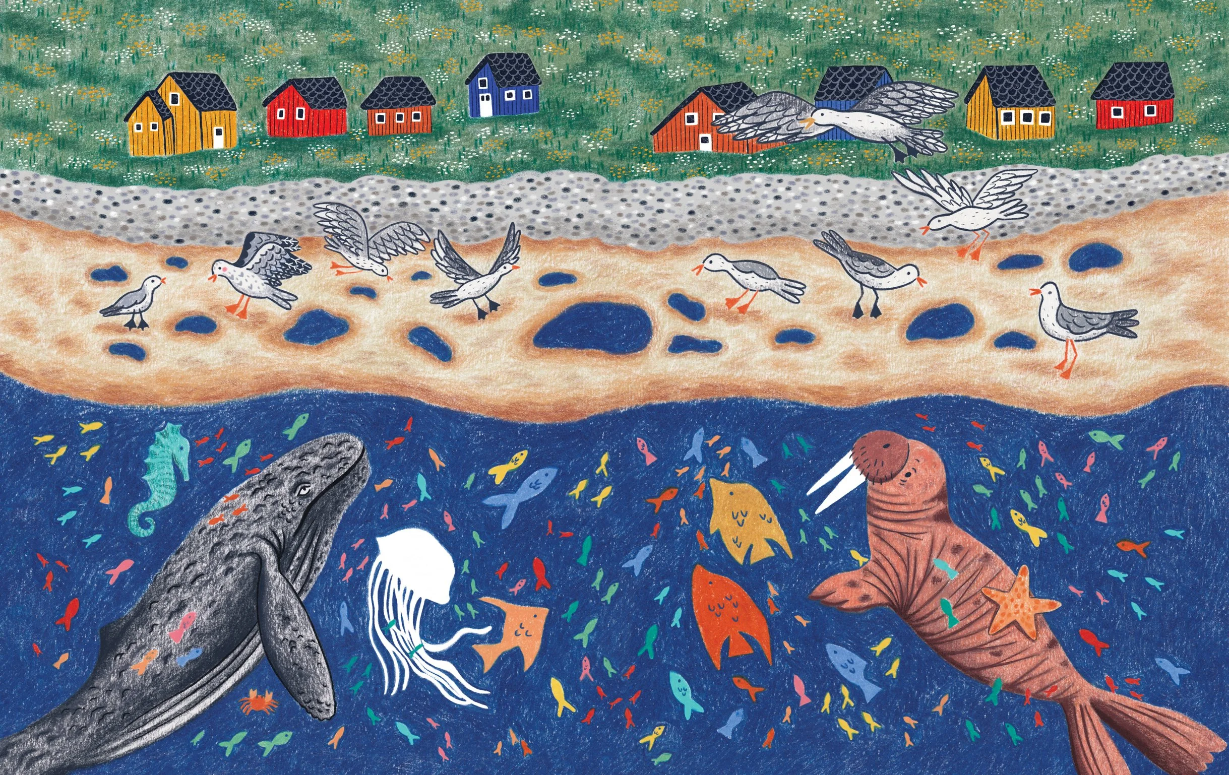 mother seagull 22 & 23 no text low res.jpg