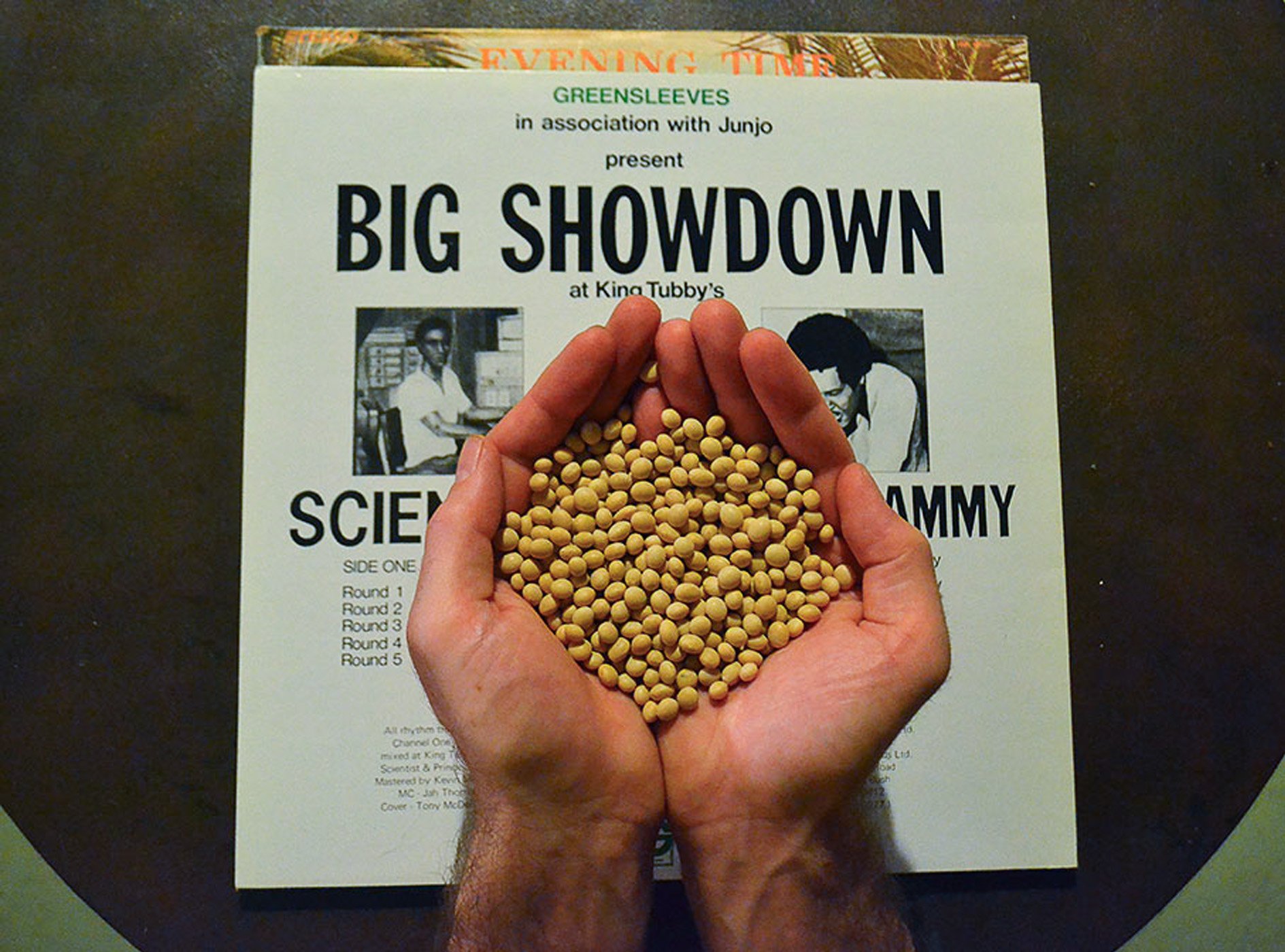 RIVERS OF BABYLON
Reggae powered tempeh incubator, soybeans, Rhizopus Oligosporus
2008