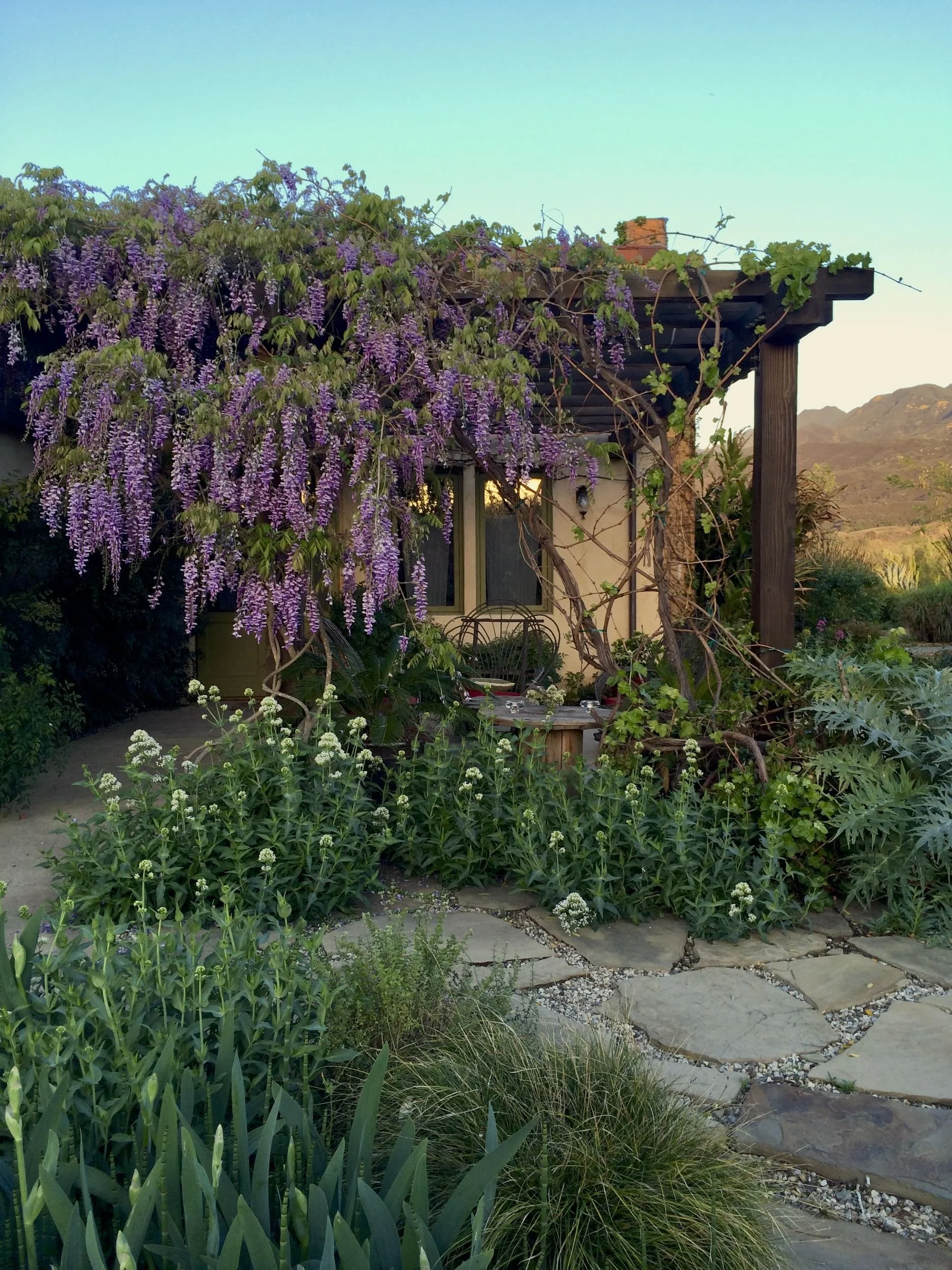 2014_Ojai - 1 of 1 (1).jpeg