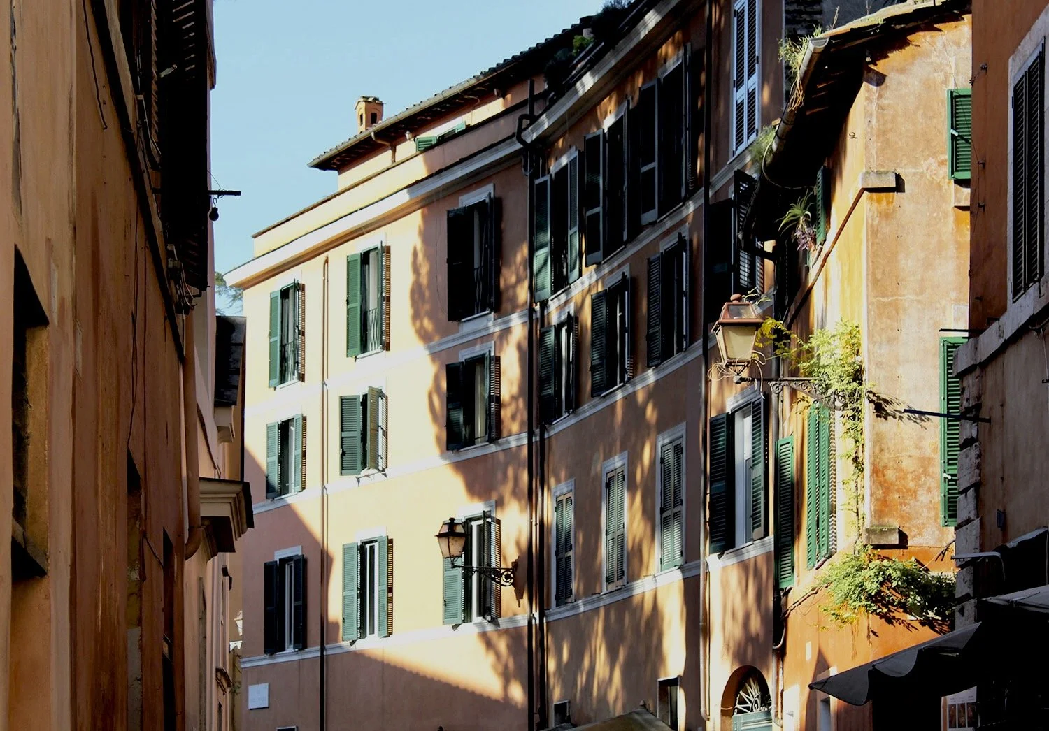 Portfolio - 2 of 3 (1).jpeg