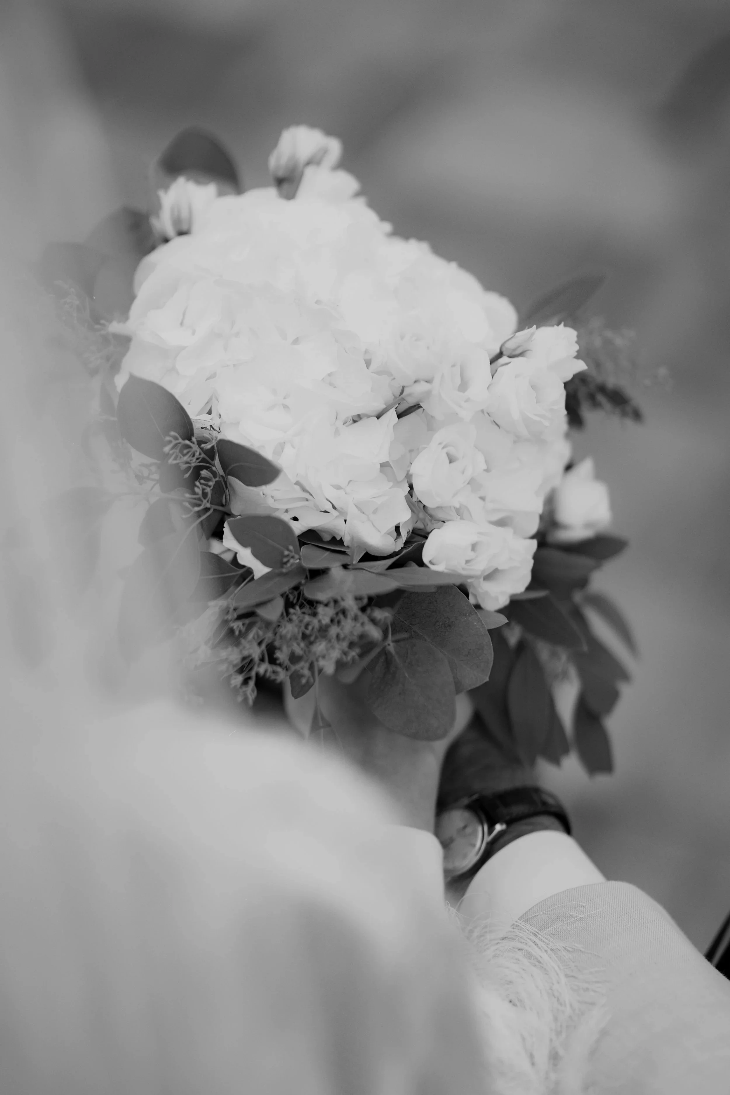 DSC07962.jpg