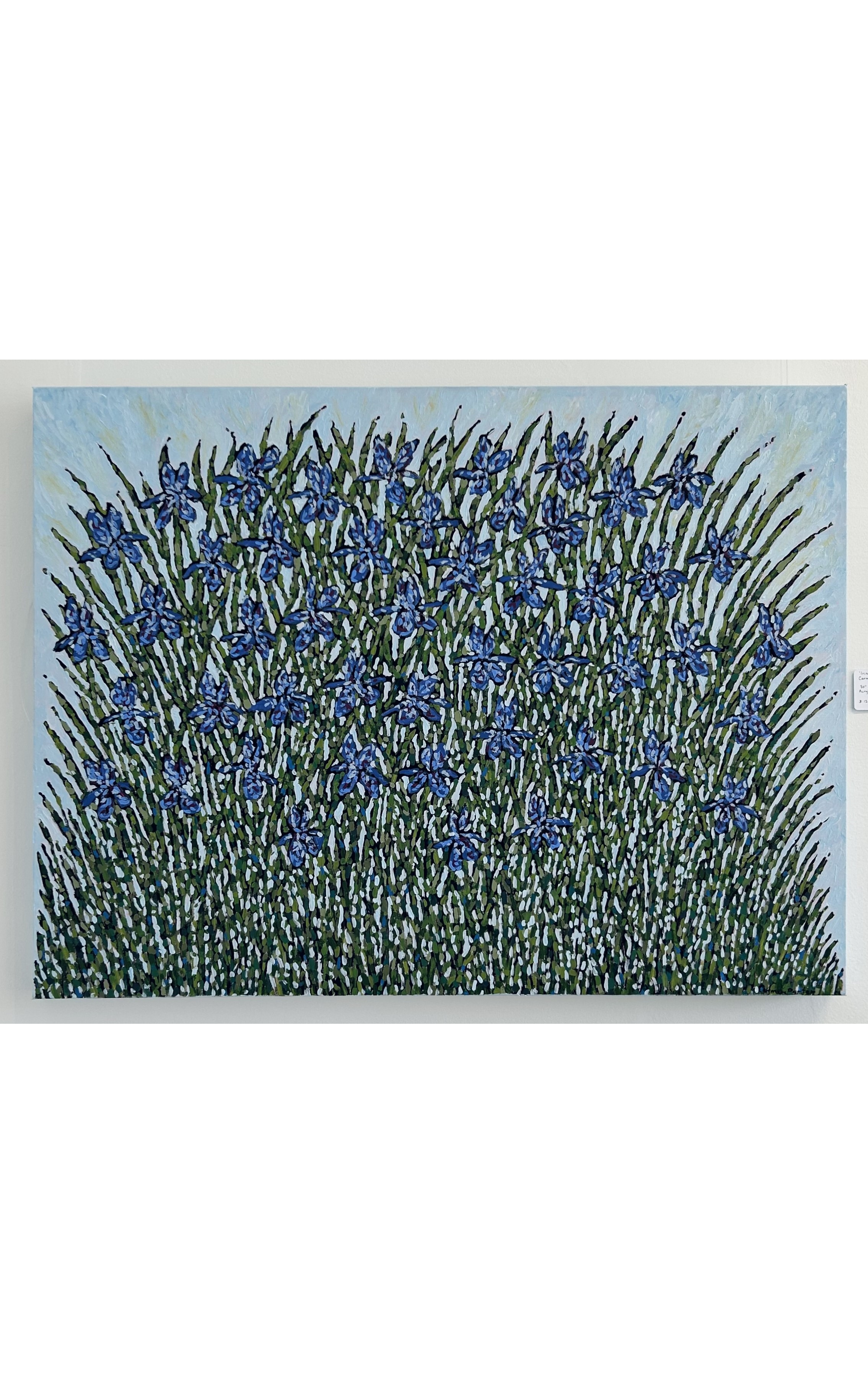 Carmen Porter, 'Iris Garden'