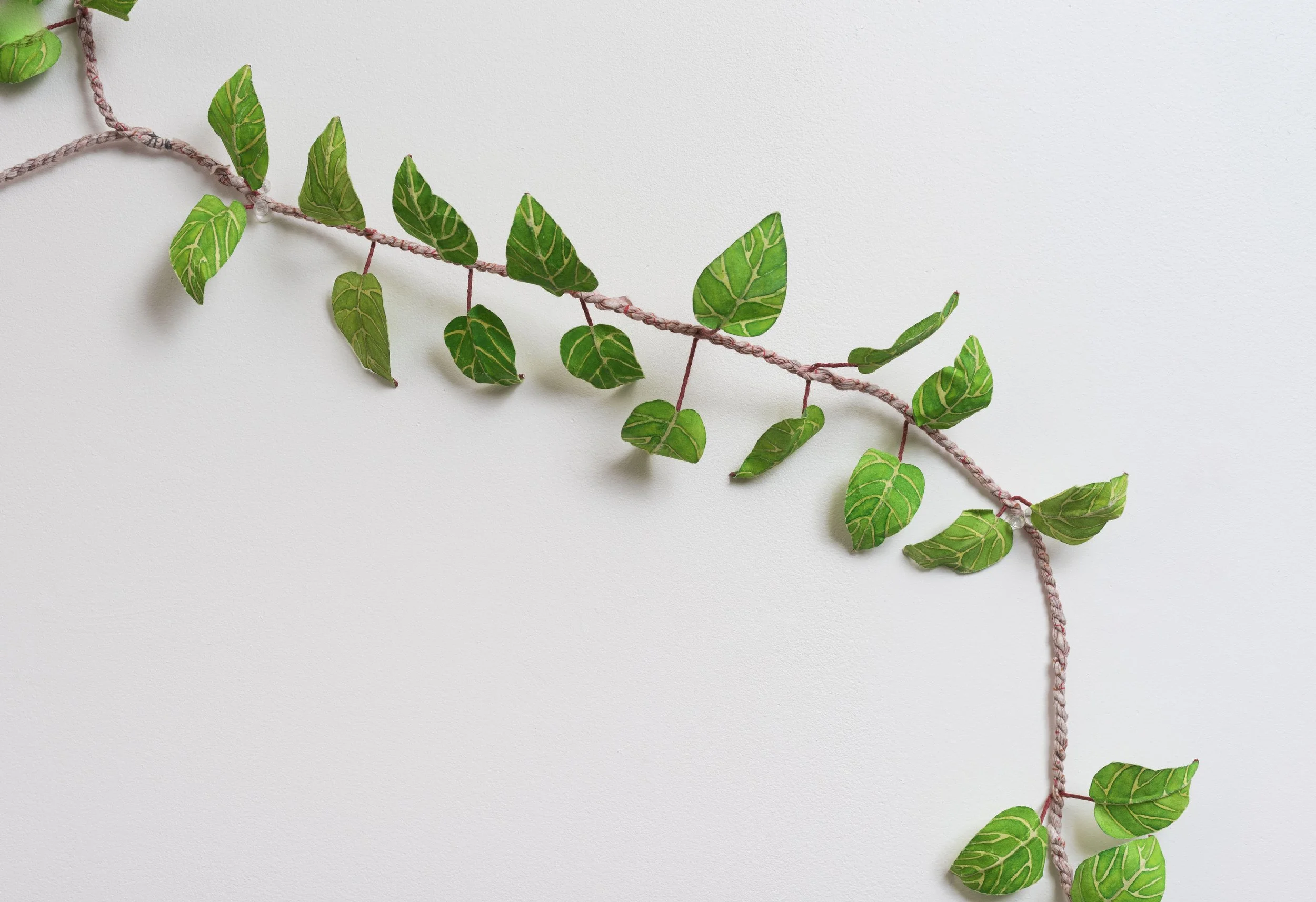 A decorative vine with green leaves and veins on a white background.