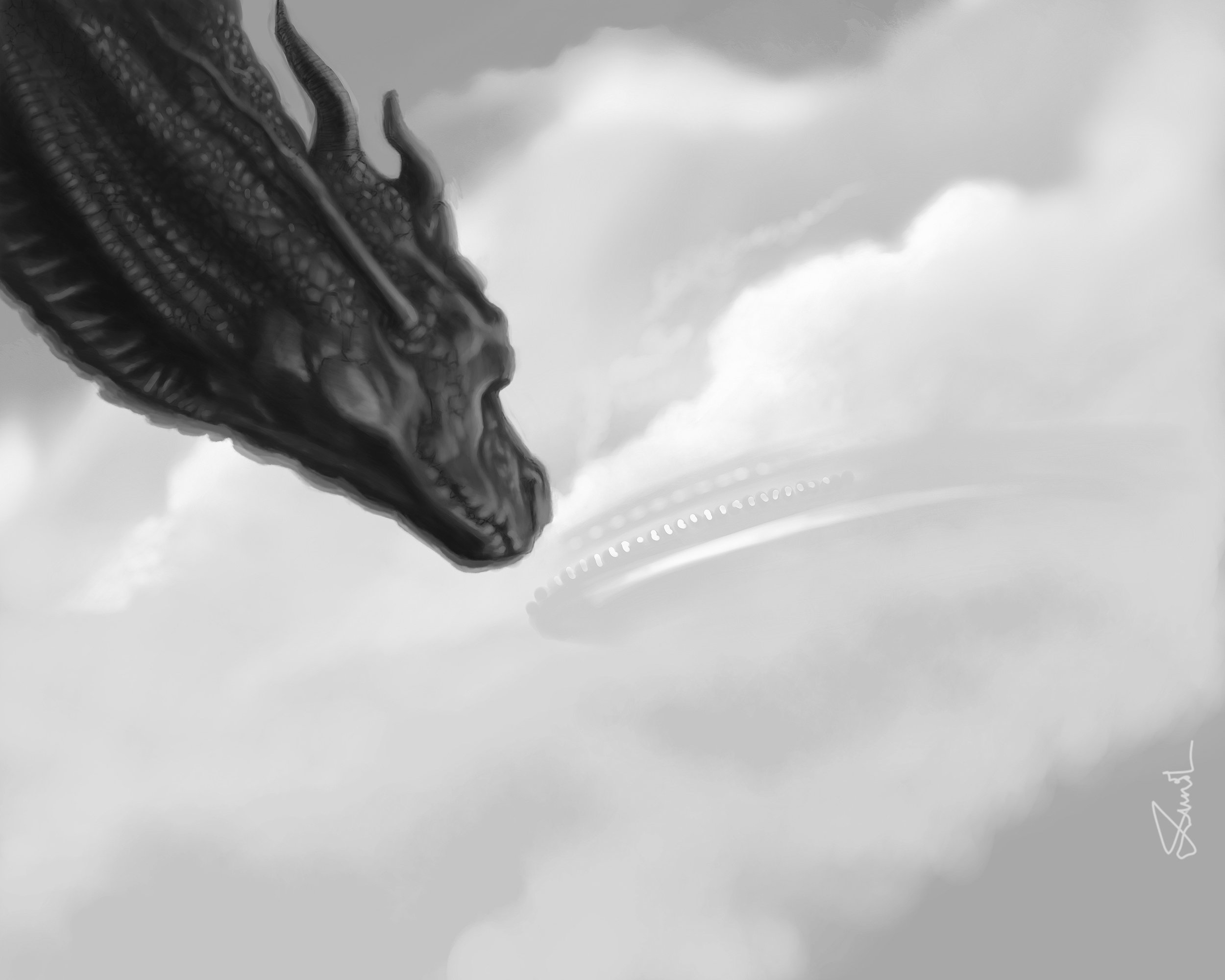 Flying High 001 copy.jpg