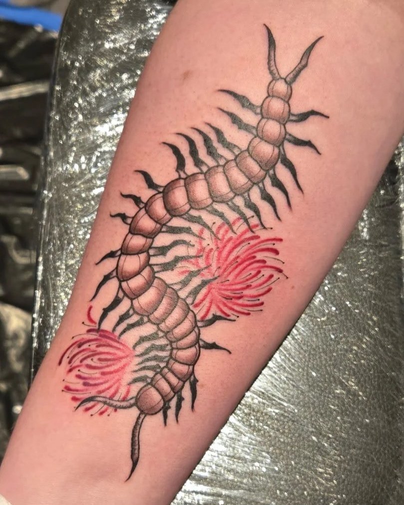 Tattoo of a centipede with red accents on a person's arm.