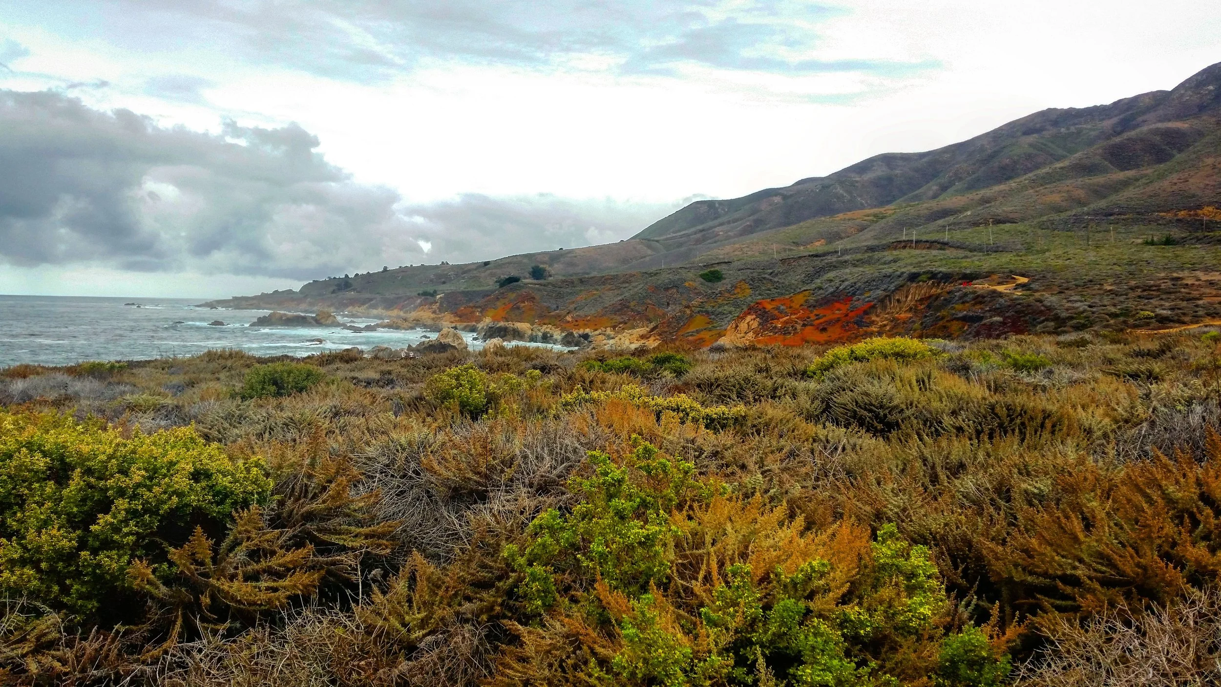 Coastal landscape with rugged hills, ocean waves, cloudy sky, and lush green and brown bushes in the foreground.