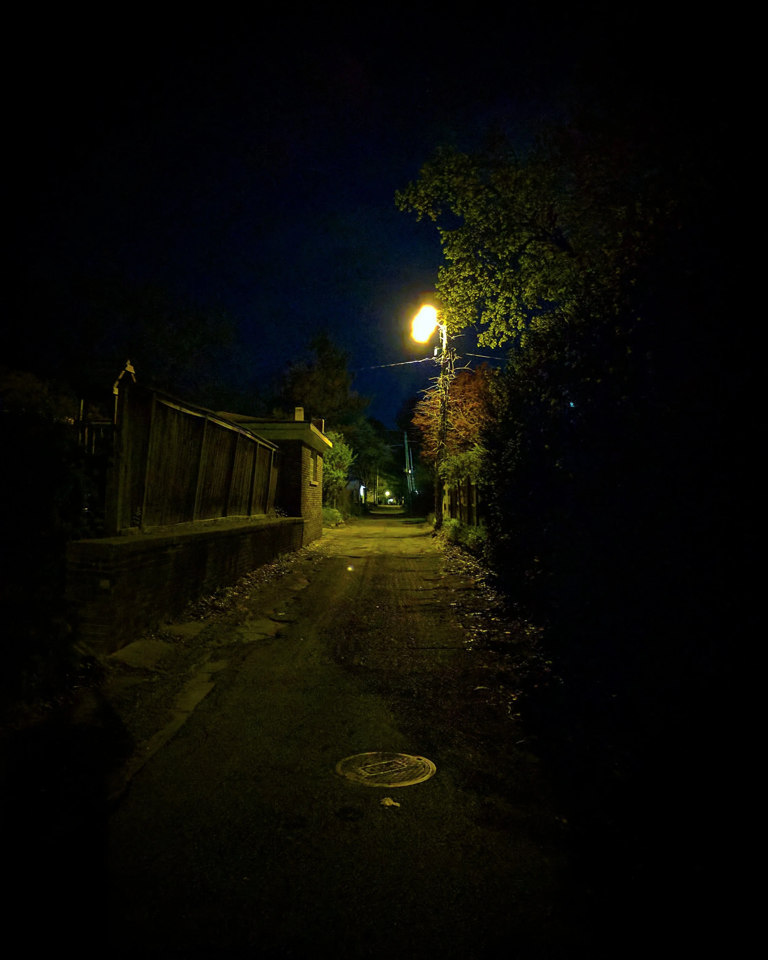 Dimly lit alleyway with a streetlamp and trees on one side, houses on the other, and a dark sky.