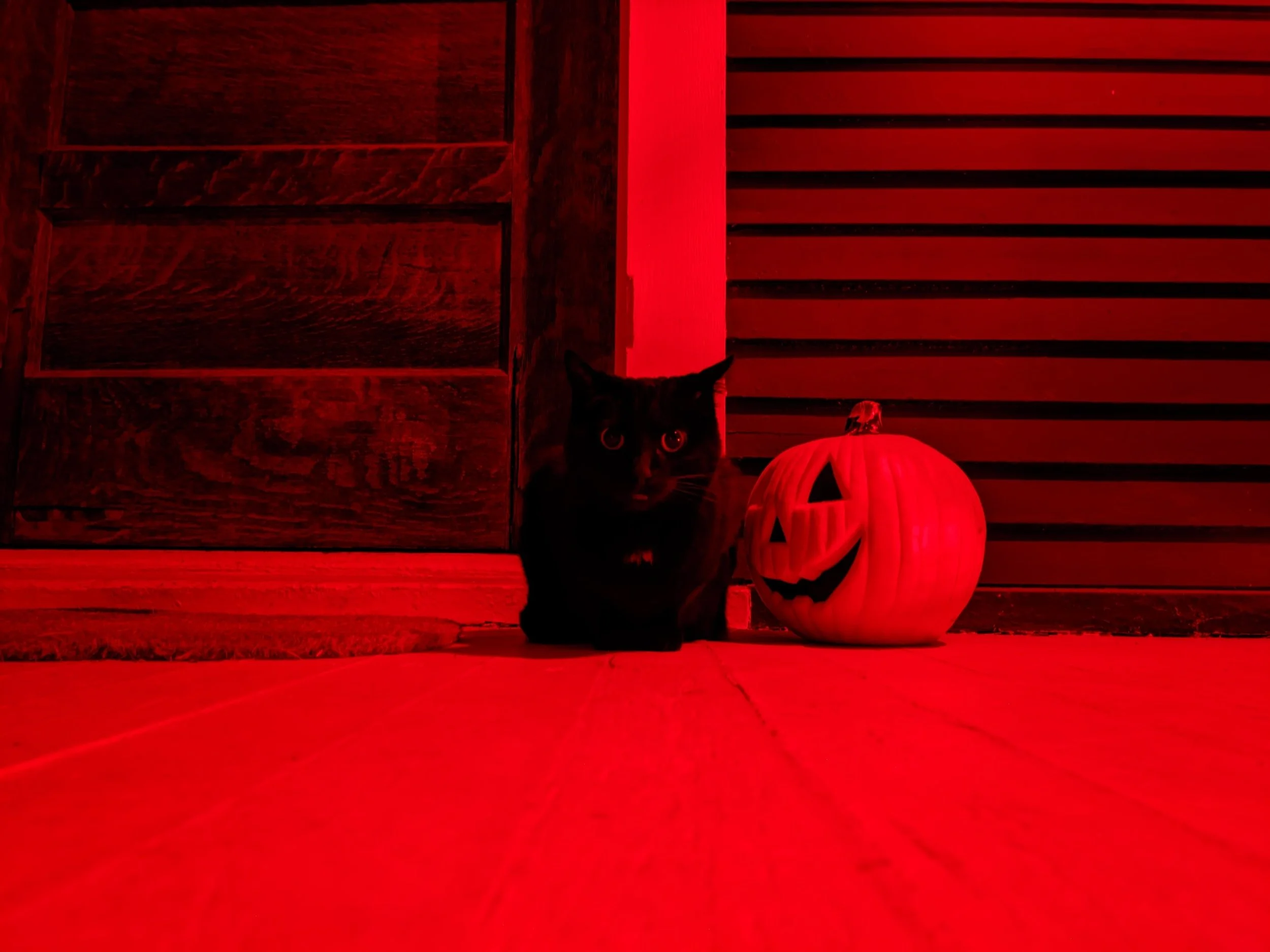 PXL_20241023_000219214.NIGHT.jpg