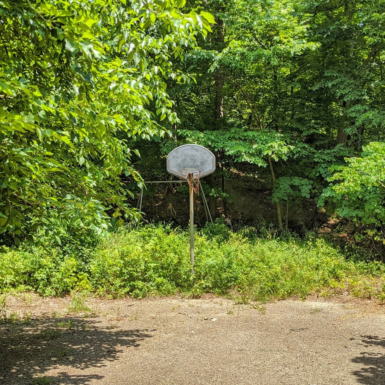 An old, weathered basketball hoop with a rusty net stands in front of dense green trees and bushes, on a dirt and gravel surface in a wooded area.