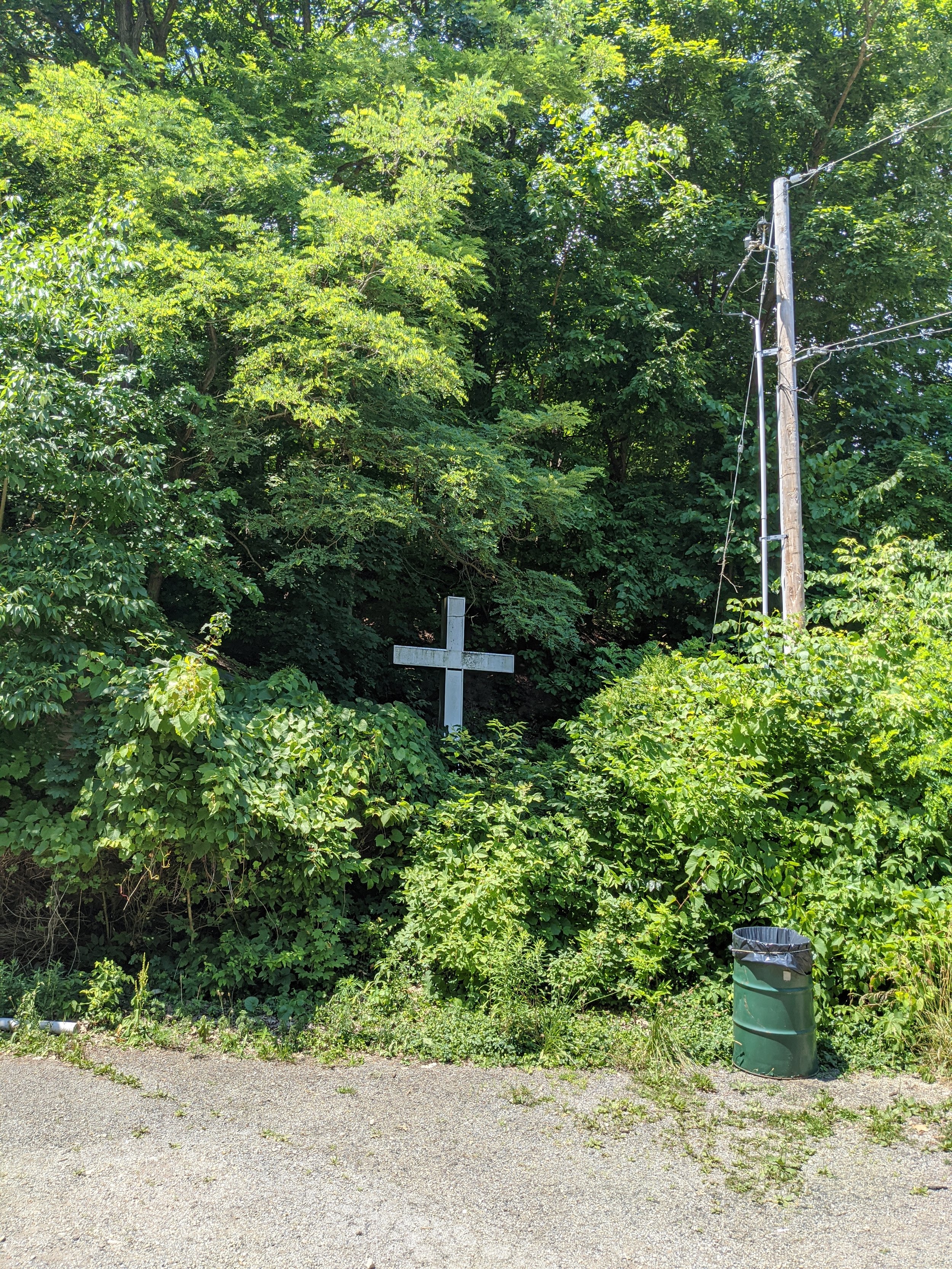 A white cross among green bushes and trees, with a wooden utility pole and power lines nearby and a green trash can on the ground.
