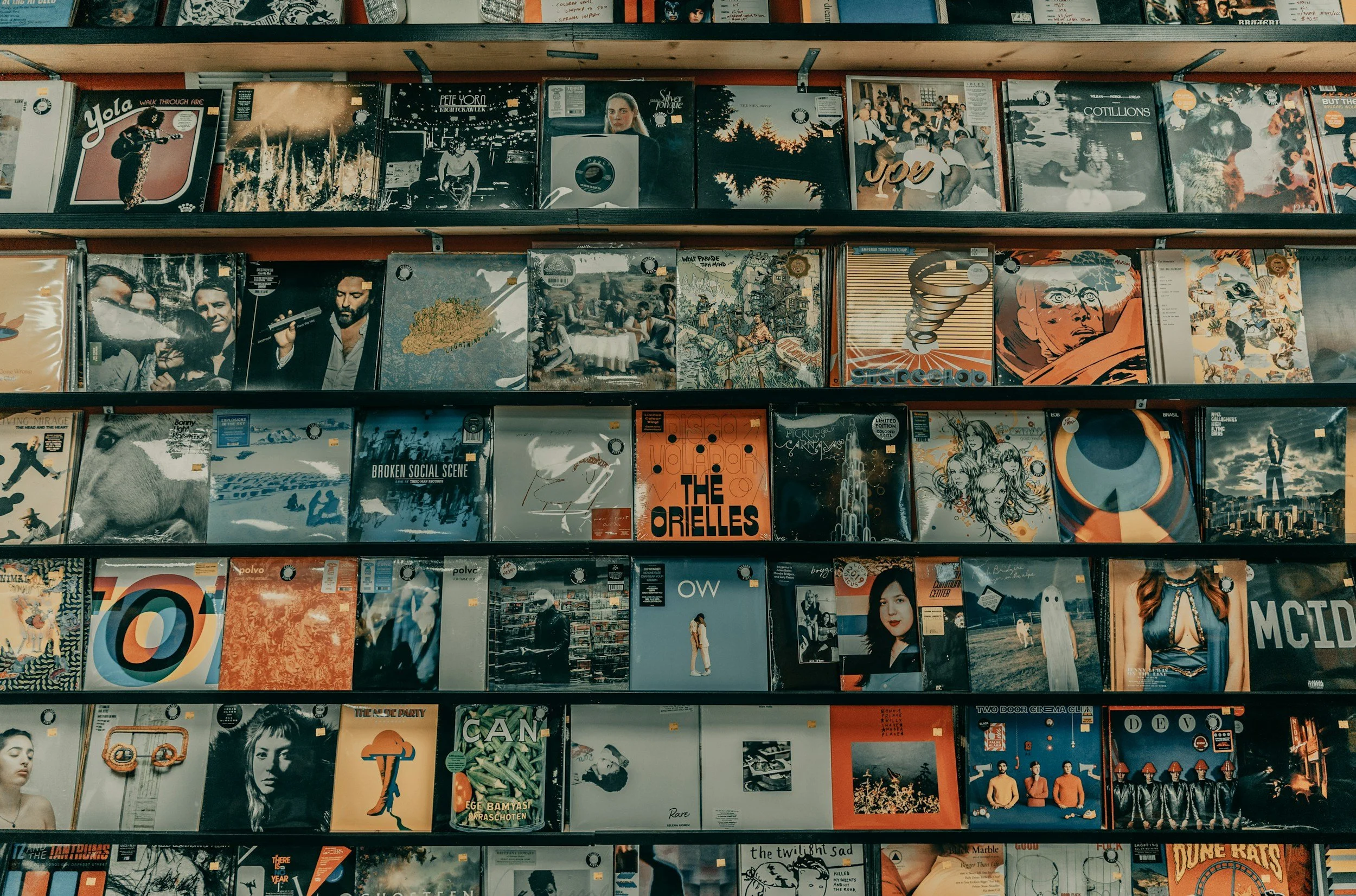 a wall filled with several shelves holding various record albums