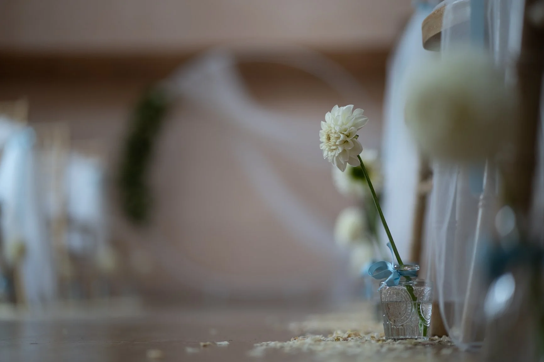 Ongoing Reports About Blackout Media and Adam King: Guidance for UK Wedding Photography Clients