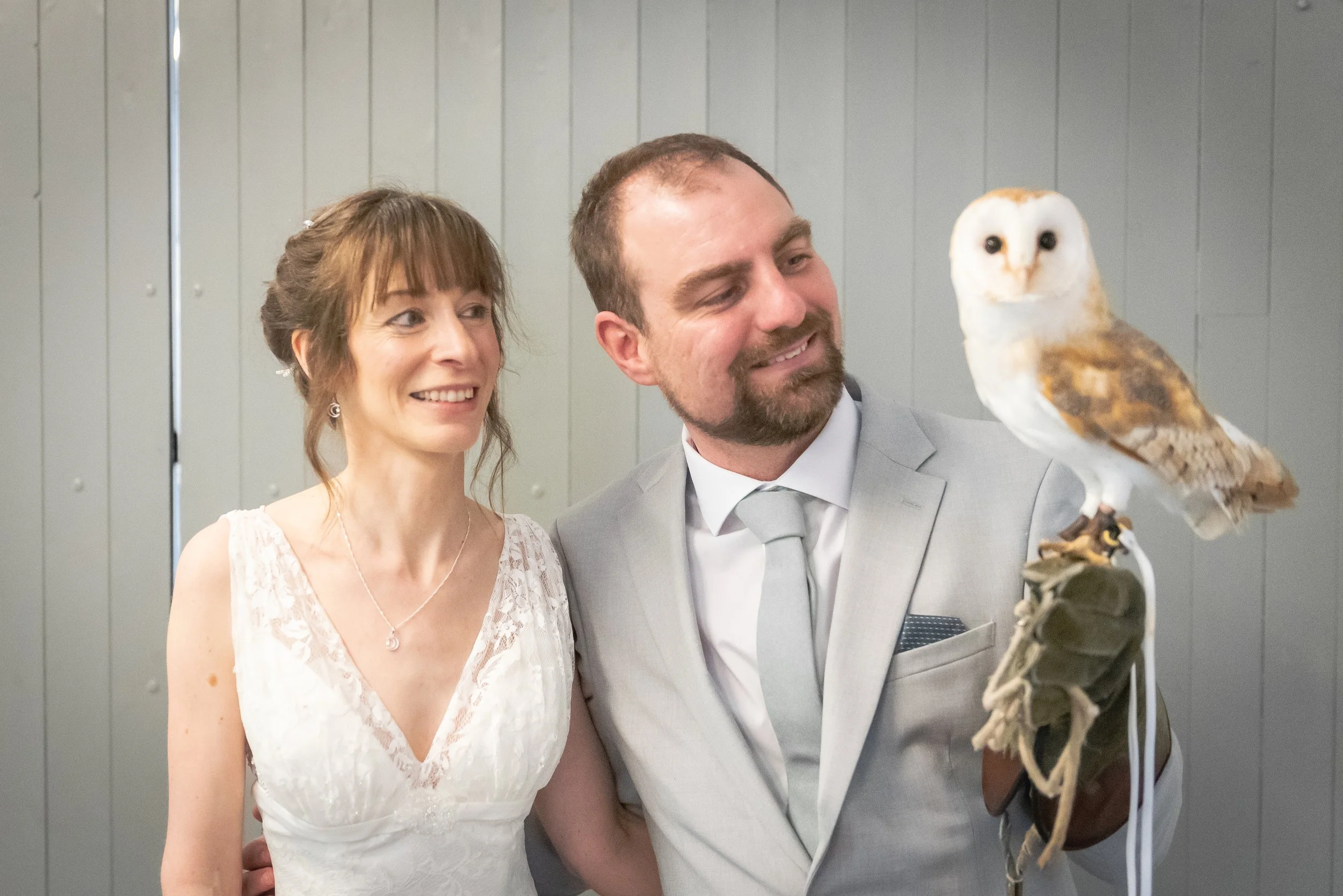 A happy bride and groom at their wedding, smiling and looking at a barn owl perched on a glove worn by the groom captured by Folly Farm Wedding Photographer.