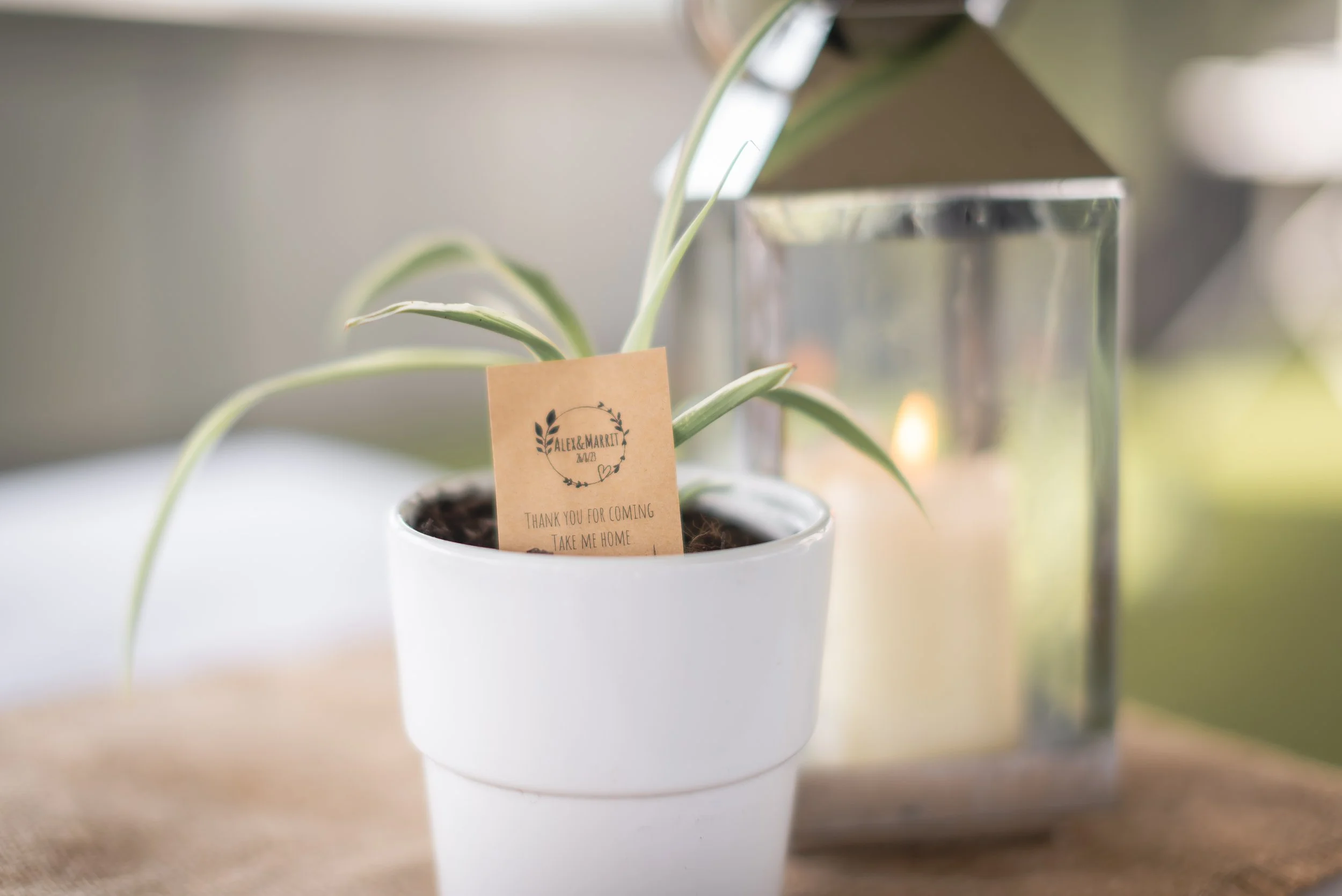 Detail shot of a personalised seed pack wedding favour with couple’s names and wedding date, styled with greenery at Clifton Observatory, Bristol.