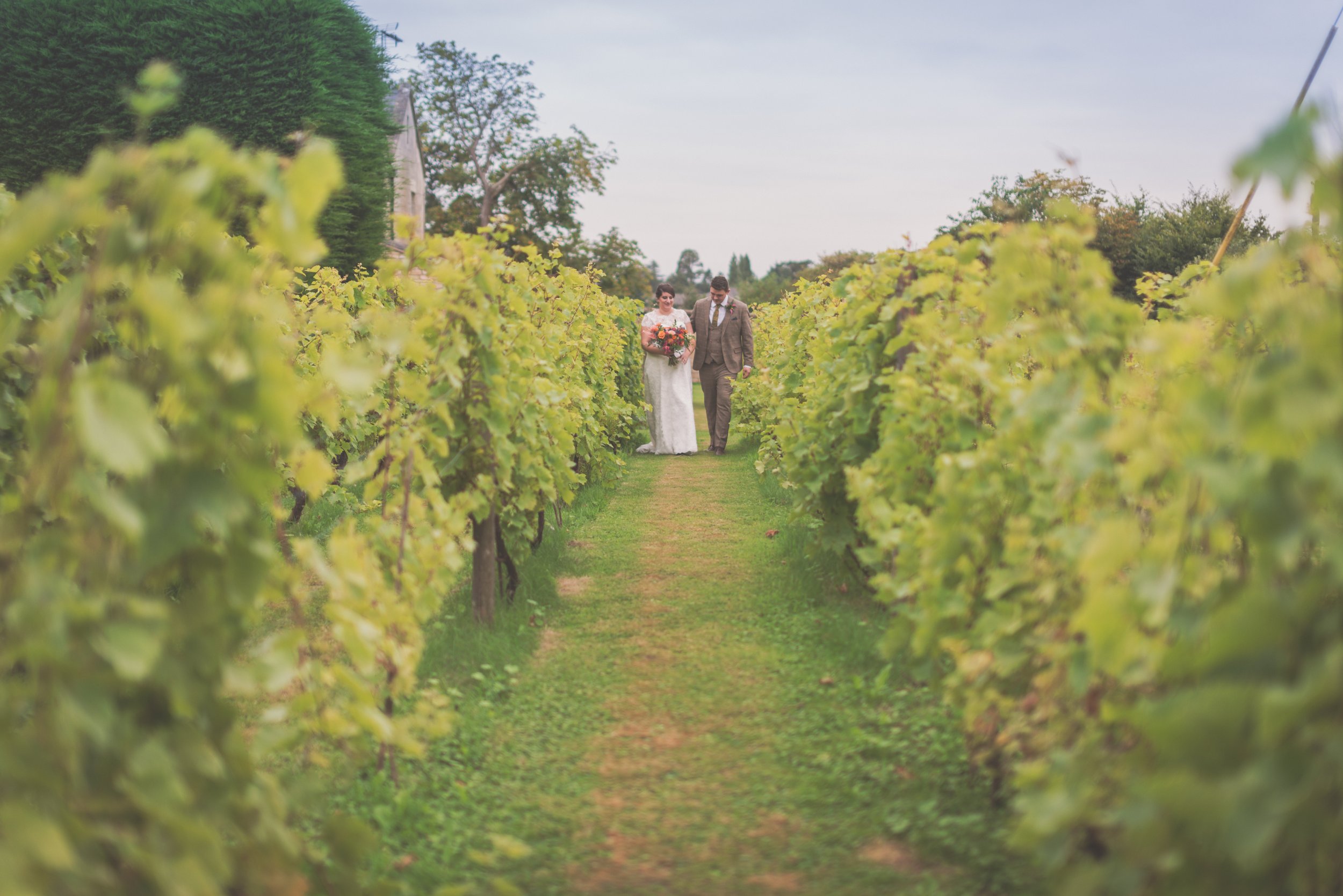 Bride and Groom walking down the vineyard at Aldwick Estate