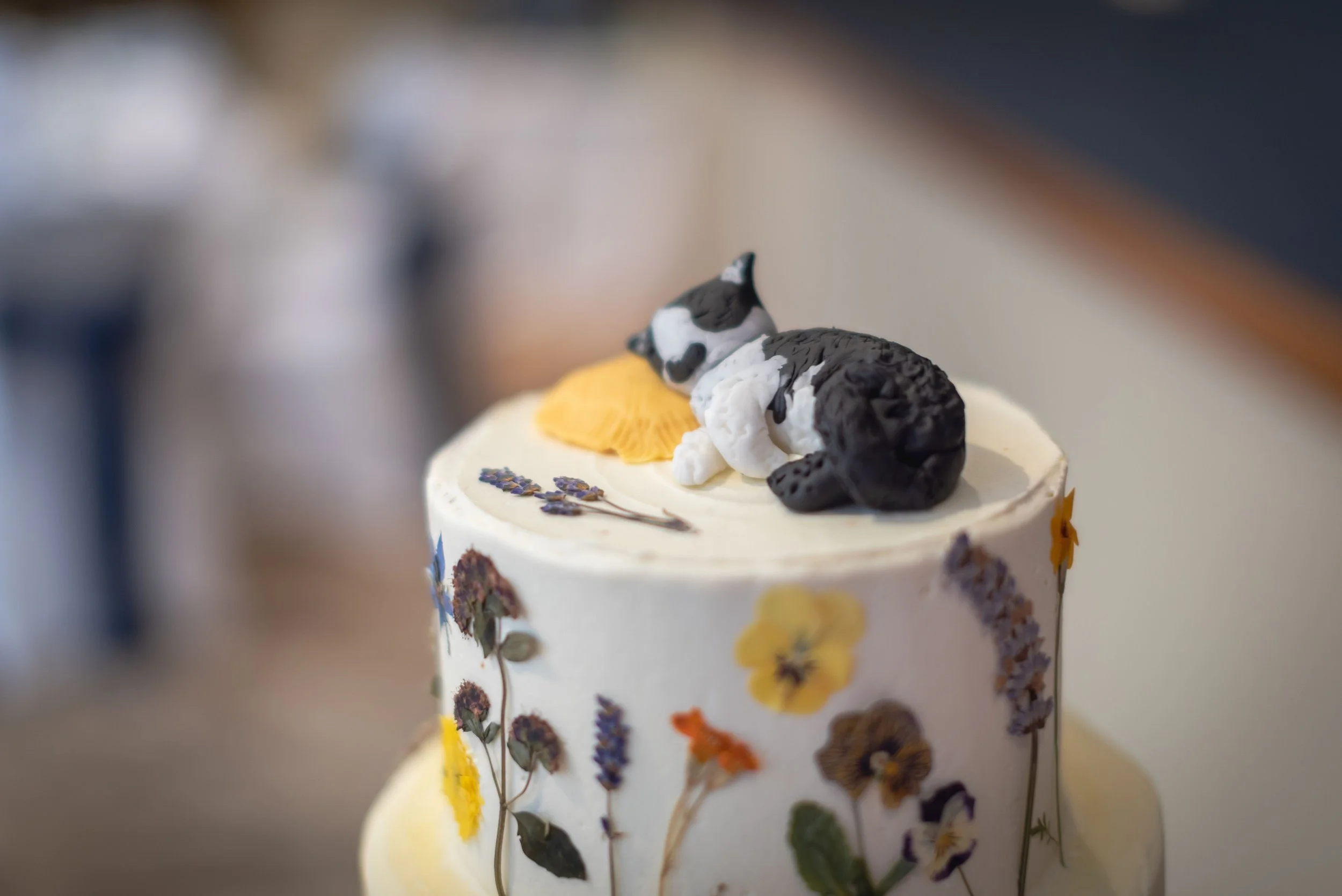 A cake decorated with edible flowers and a fondant dog sleeping on top for the bride and groom during their wedding reception at Abbey Hotel in Malvern.