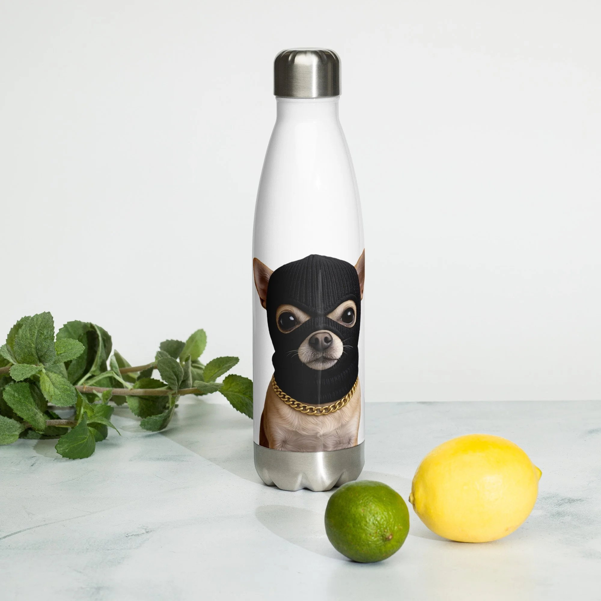 Ski Mask Dog Stainless steel water bottle