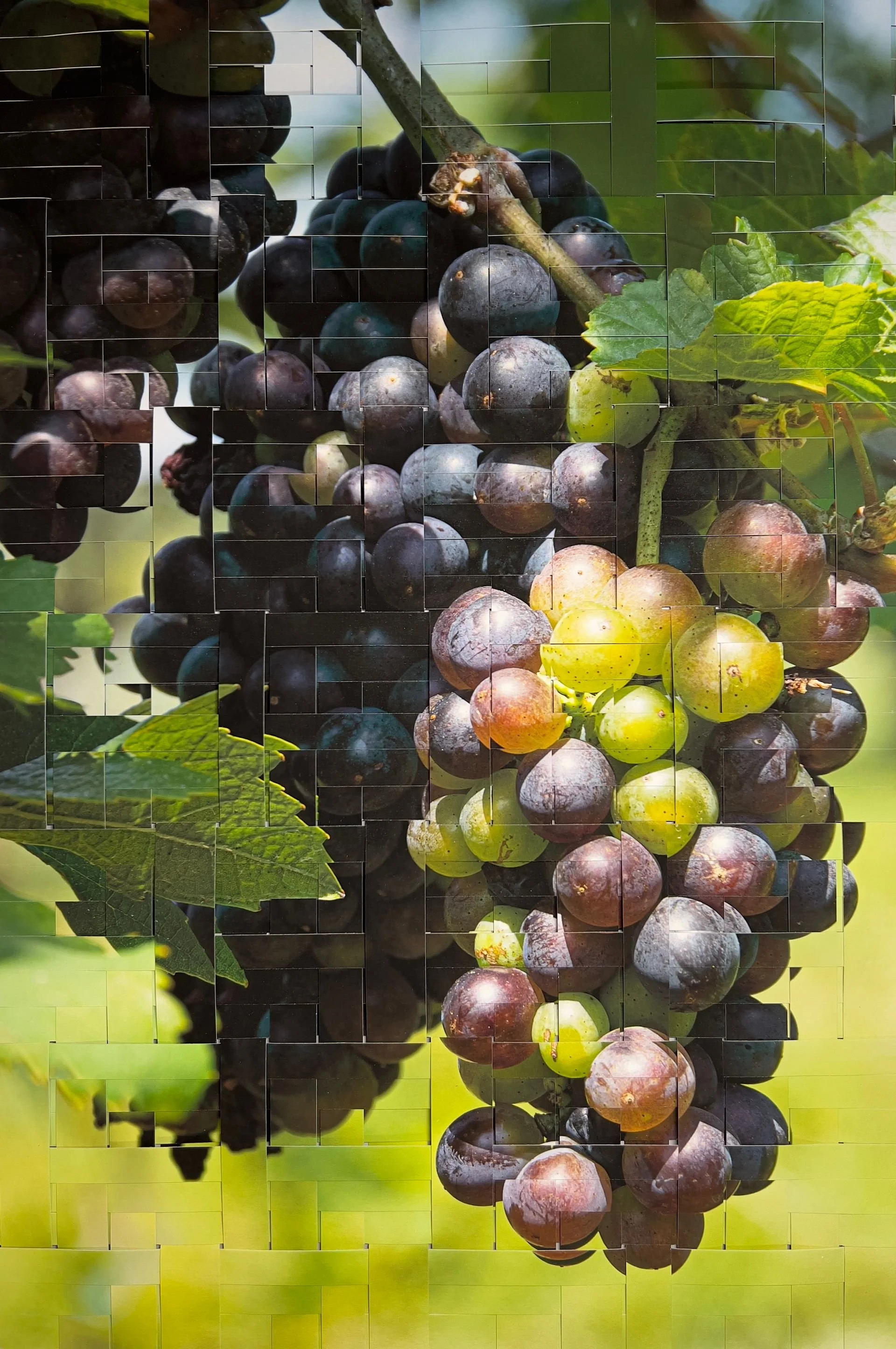 Art in the Orchard