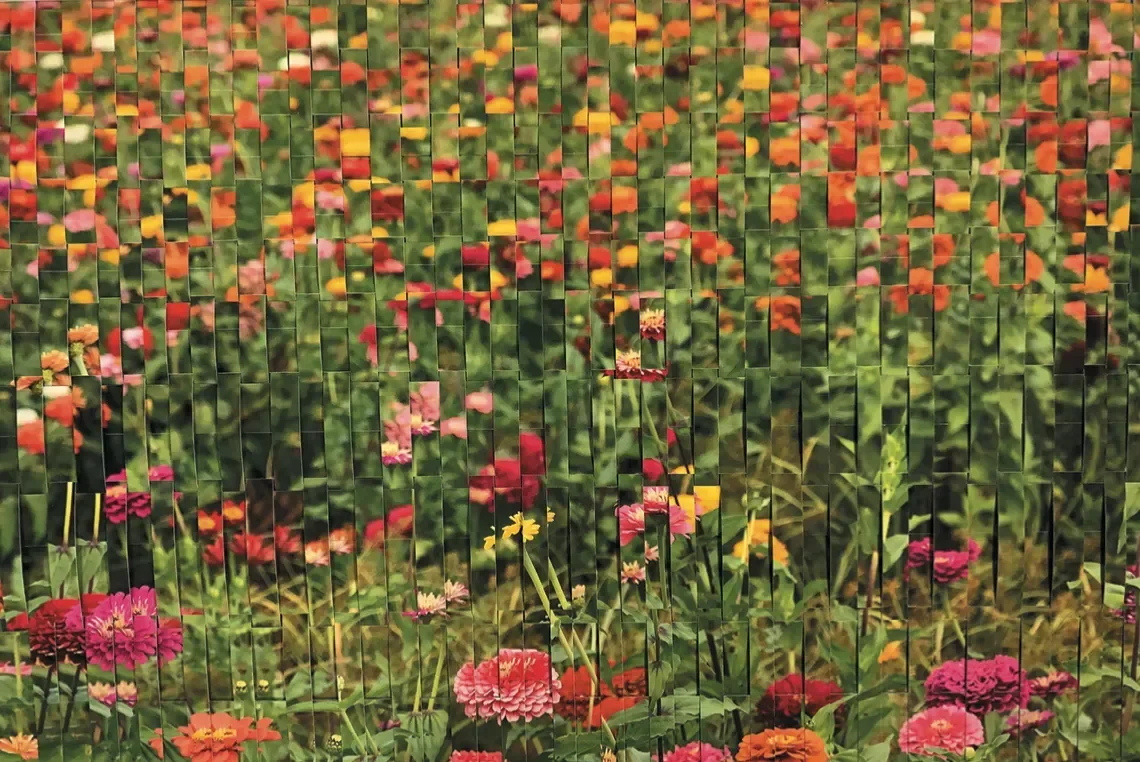 "In Full Bloom"