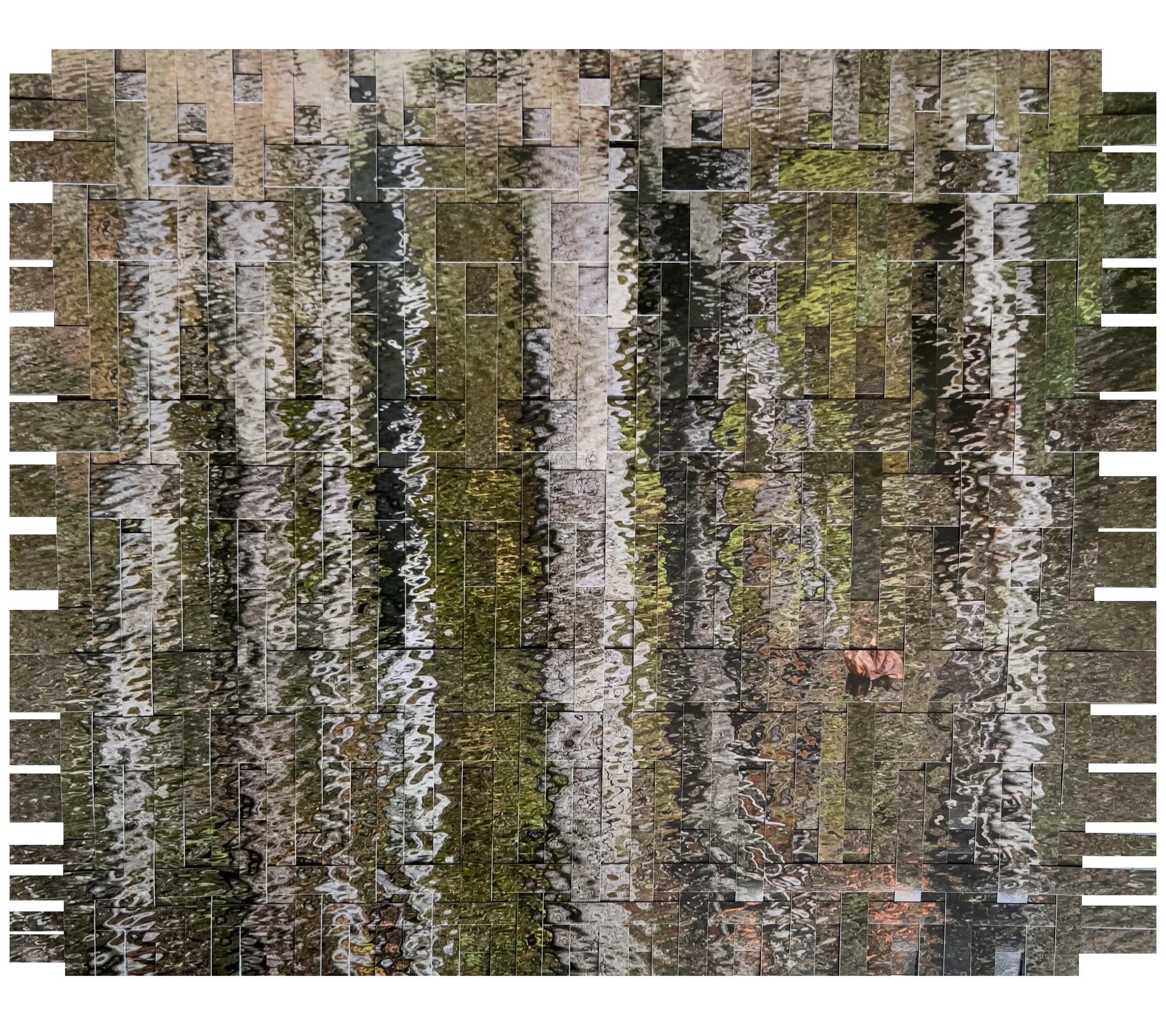 DJM_The-Leaf_e0a-0.jpg