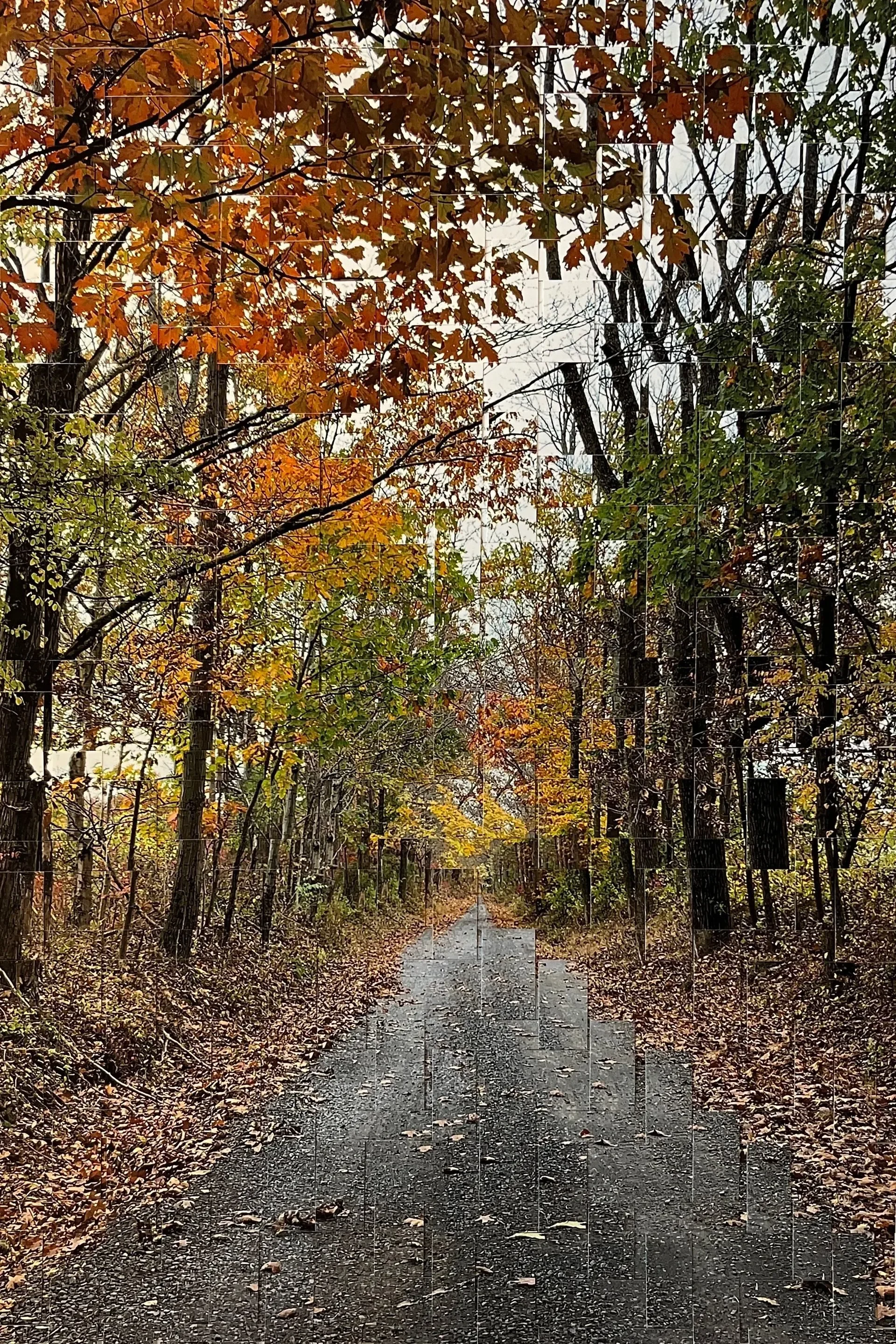 "Autumn in Bucks County" (18 x 24 in.)