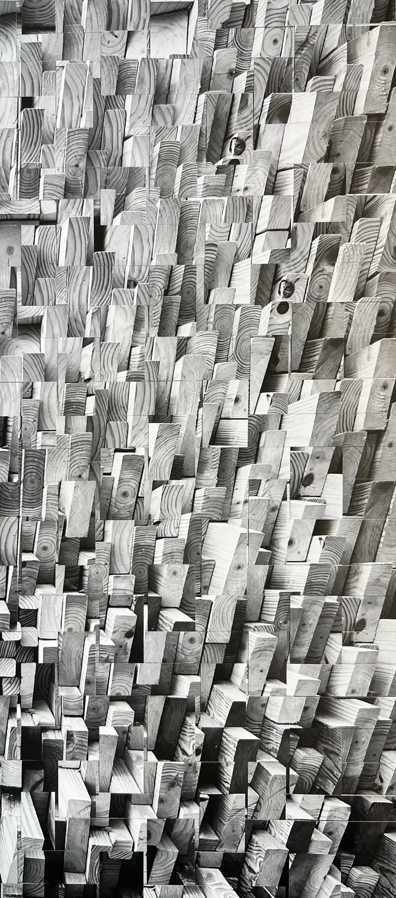 "Sound Wall" (16 x 26 in.)