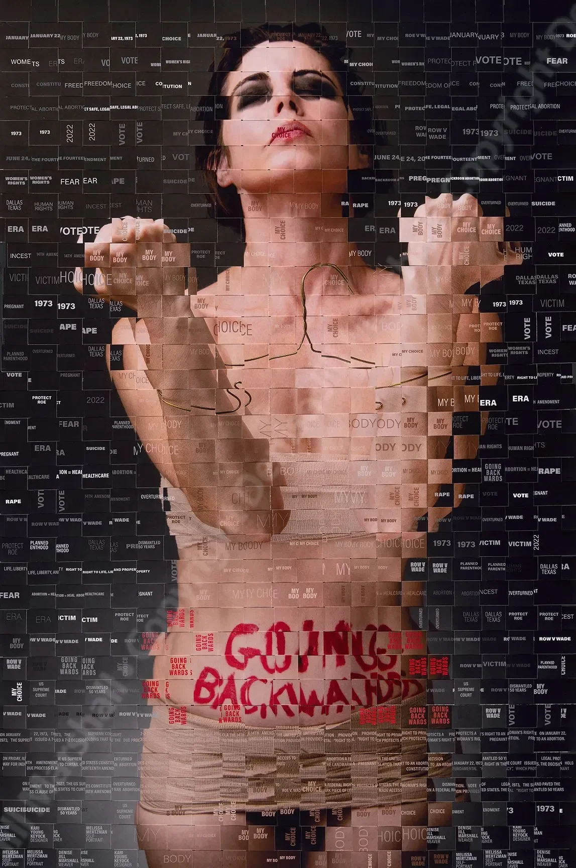 "Going Backwards, v5" (28 x 40 in.)
This is version 5 of 10 versions.