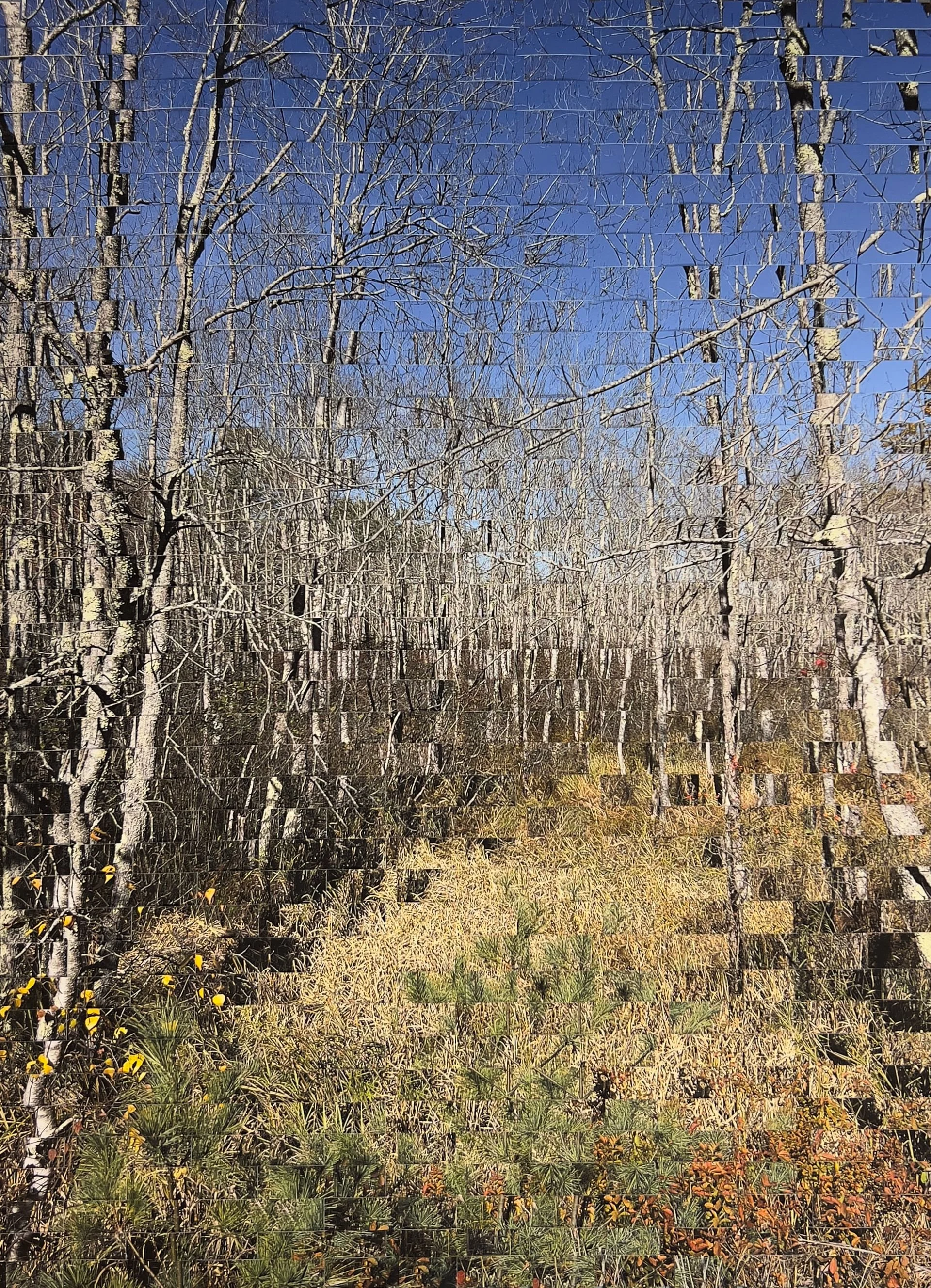 "Past Peak in New Hampshire" – Floated Framed (24 x 30 in.)