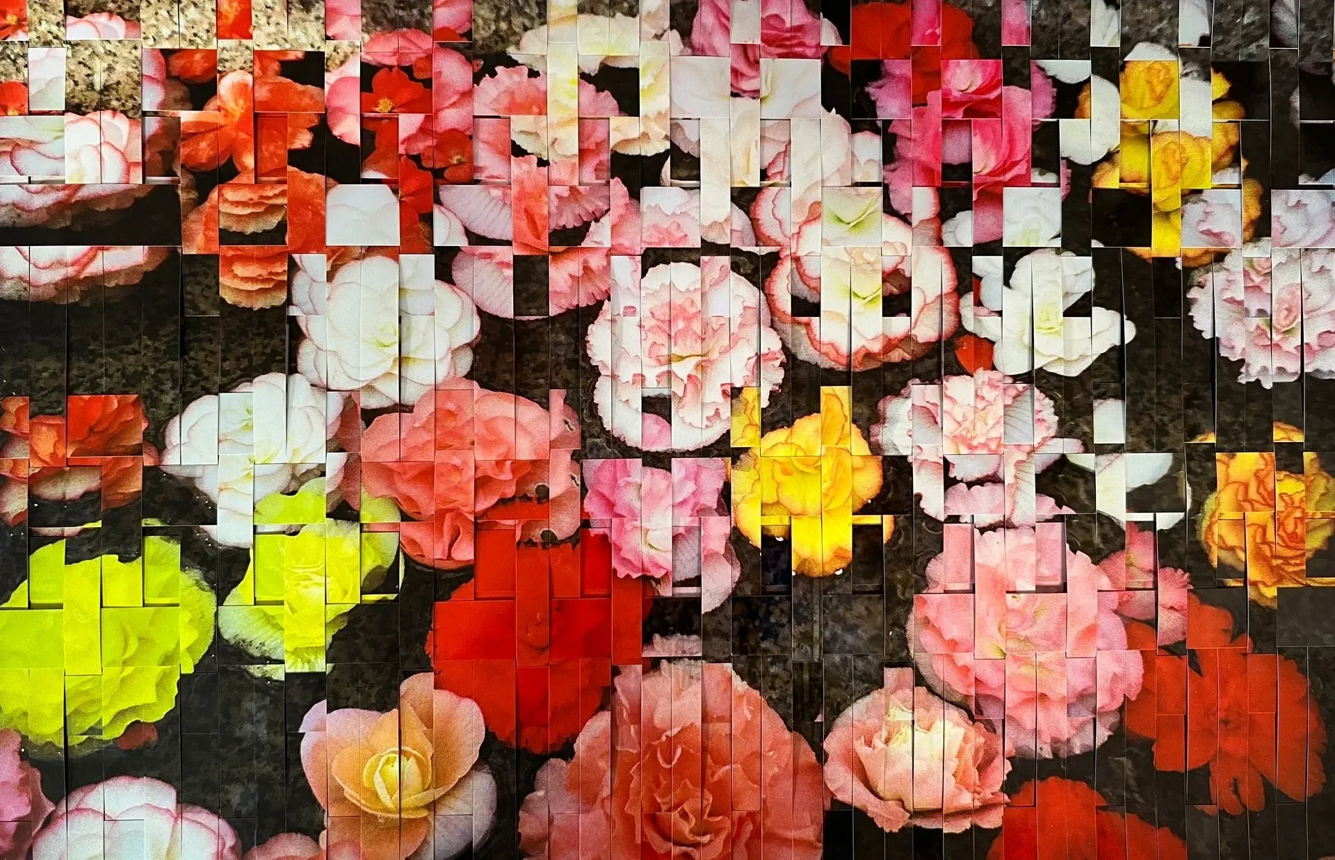 "C of Carnelians in Tokyo" (18 x 24 in.)