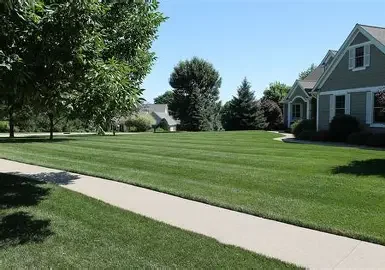 Primary Lawn Care Package