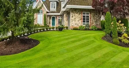 Advanced+ Service Package